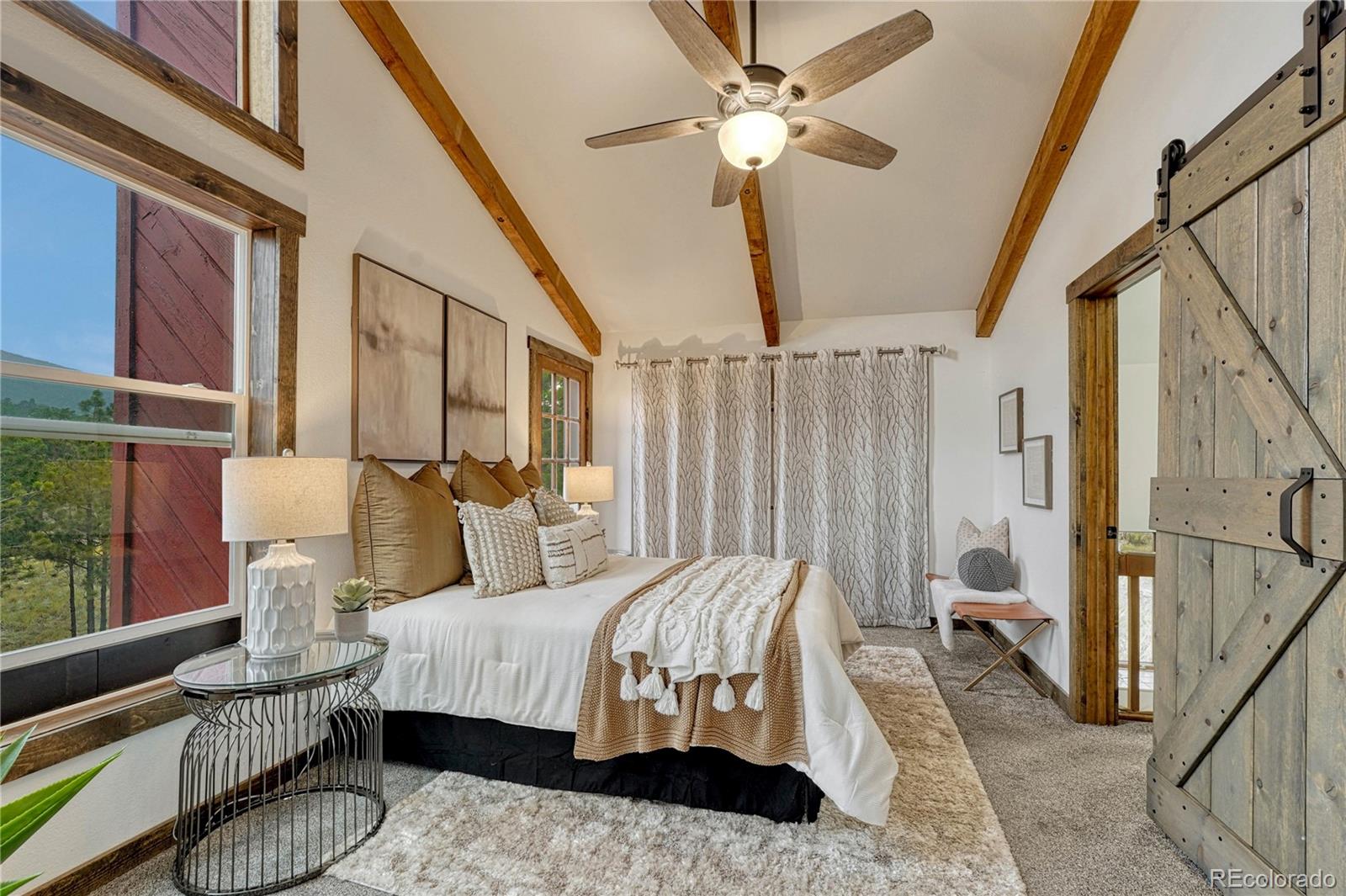 MLS Image #21 for 19 e pine drive,bailey, Colorado