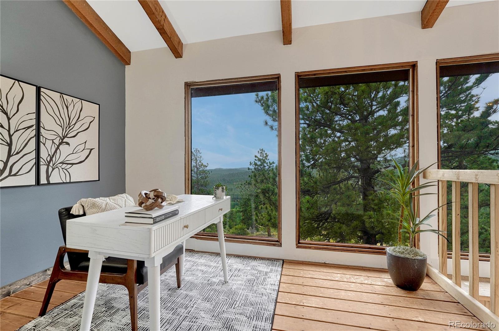 MLS Image #24 for 19 e pine drive,bailey, Colorado