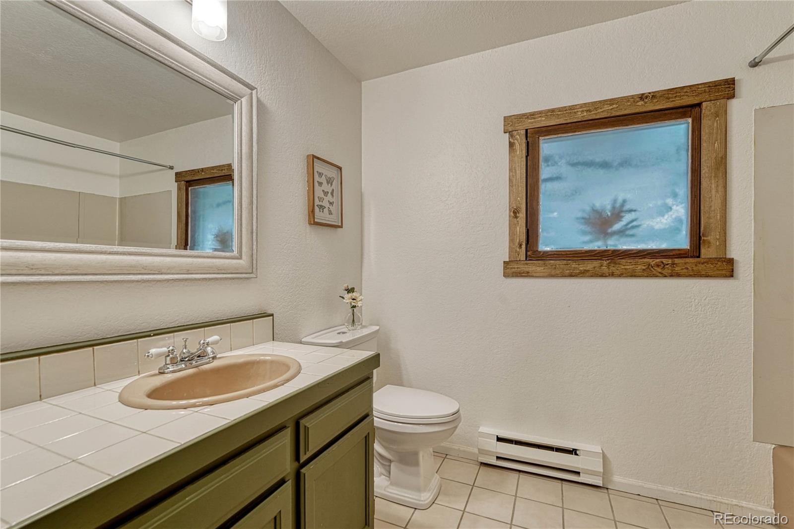 MLS Image #30 for 19 e pine drive,bailey, Colorado