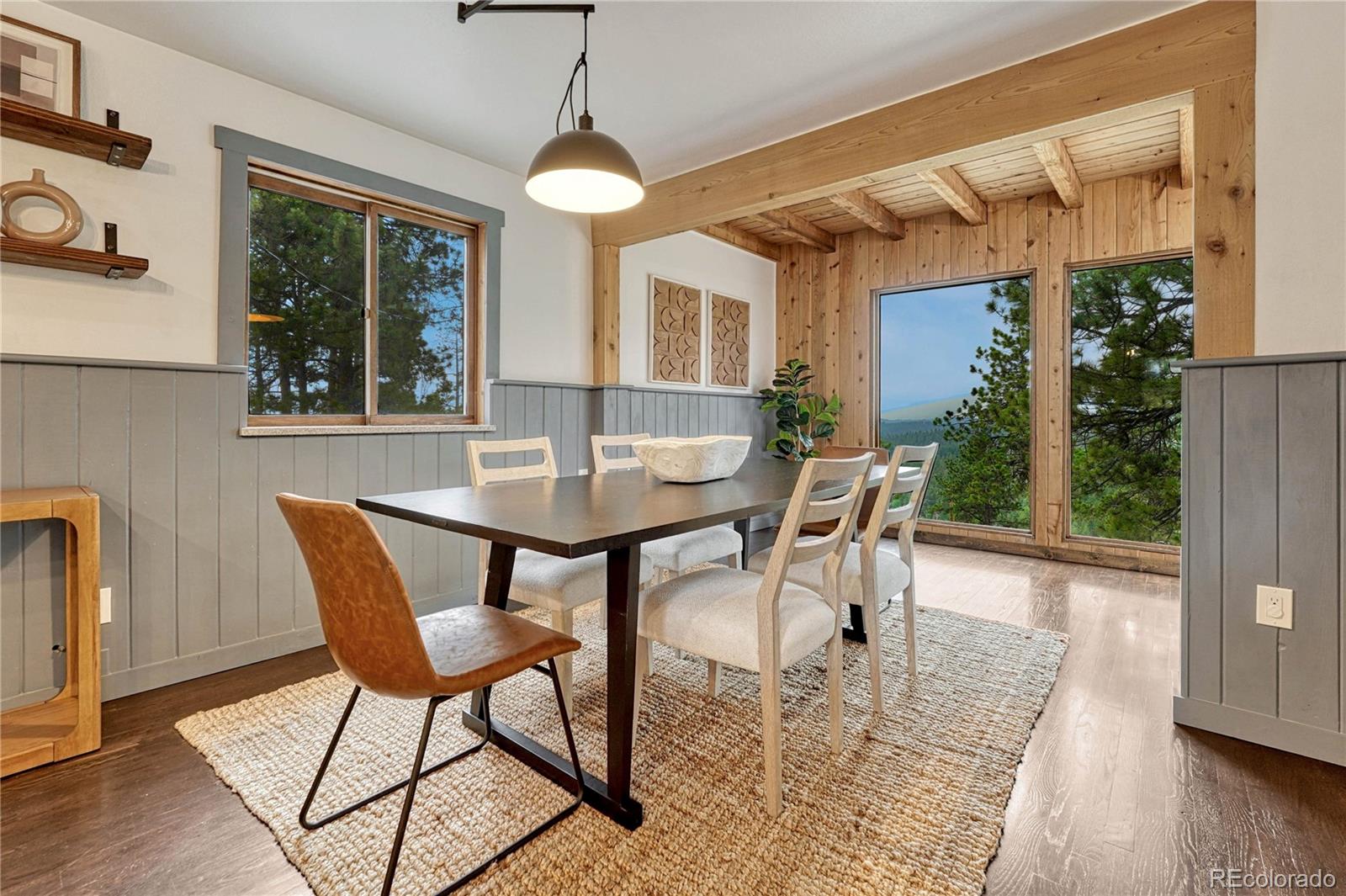 MLS Image #6 for 19 e pine drive,bailey, Colorado