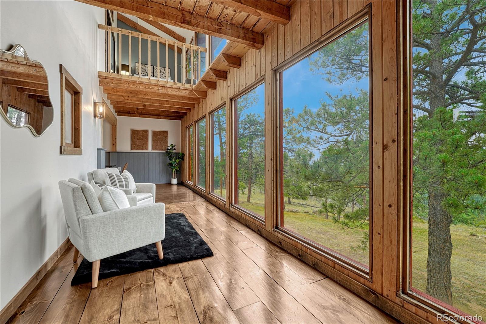 MLS Image #8 for 19 e pine drive,bailey, Colorado