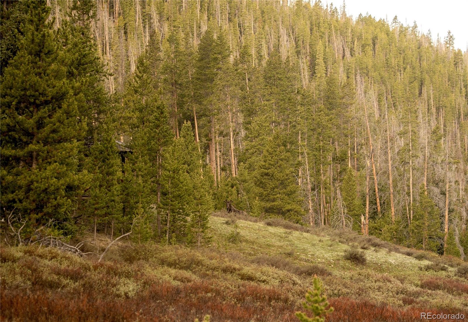 MLS Image #29 for 19384  county road 4 ,granby, Colorado