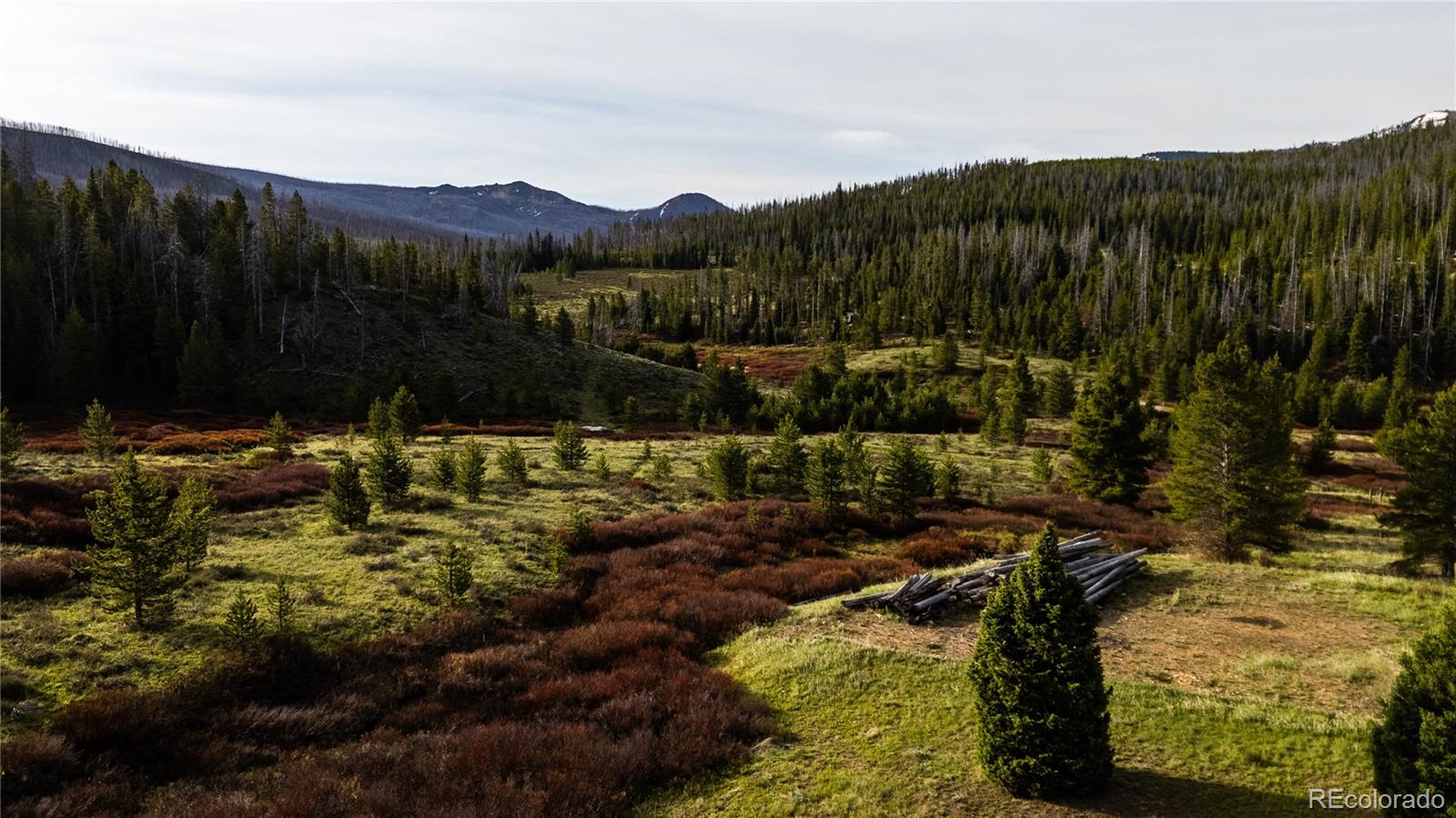 MLS Image #9 for 19384  county road 4 ,granby, Colorado