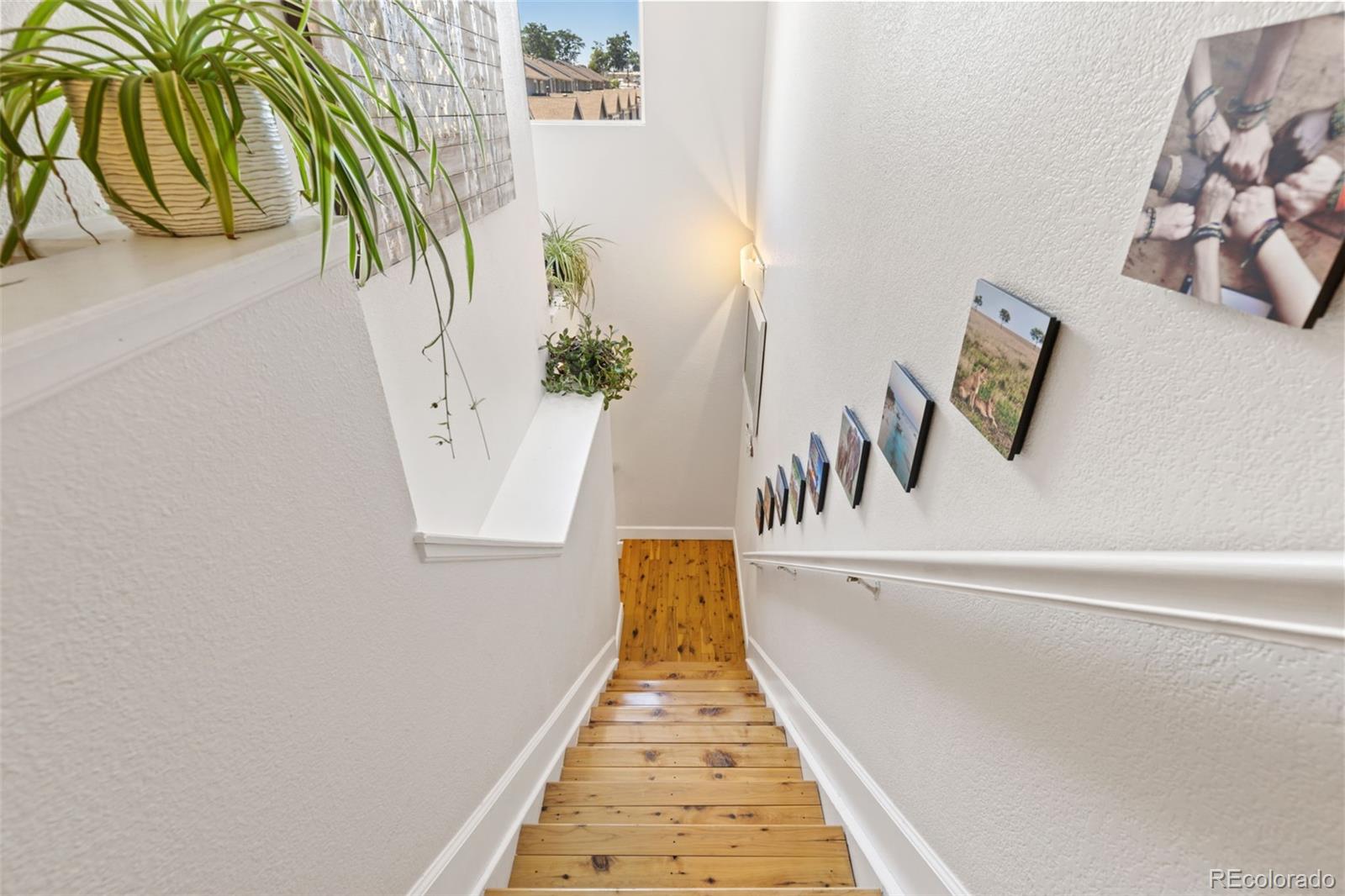 MLS Image #20 for 1758  lake shore place,edgewater, Colorado