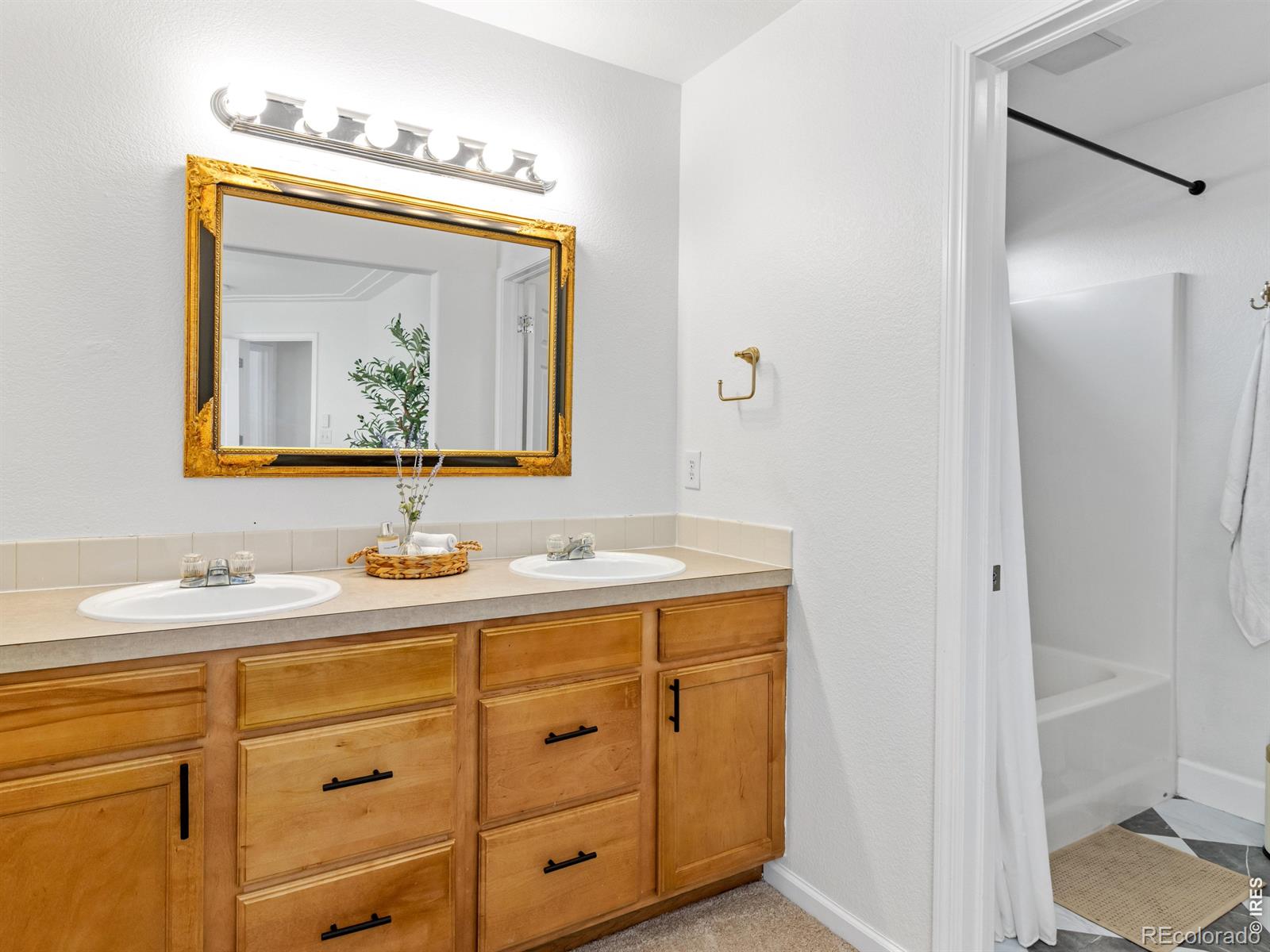MLS Image #18 for 6912  carlyle lane,wellington, Colorado