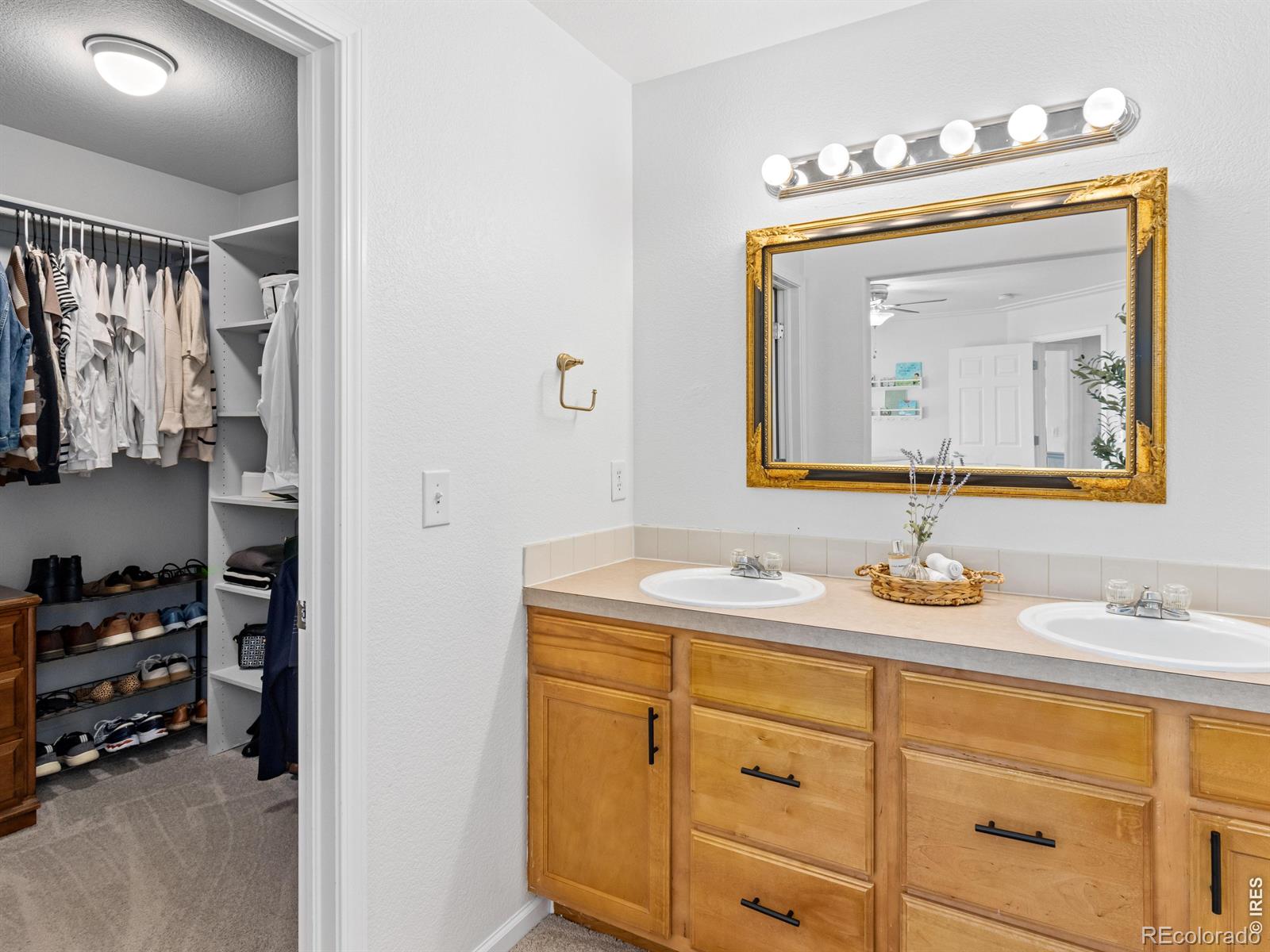 MLS Image #19 for 6912  carlyle lane,wellington, Colorado