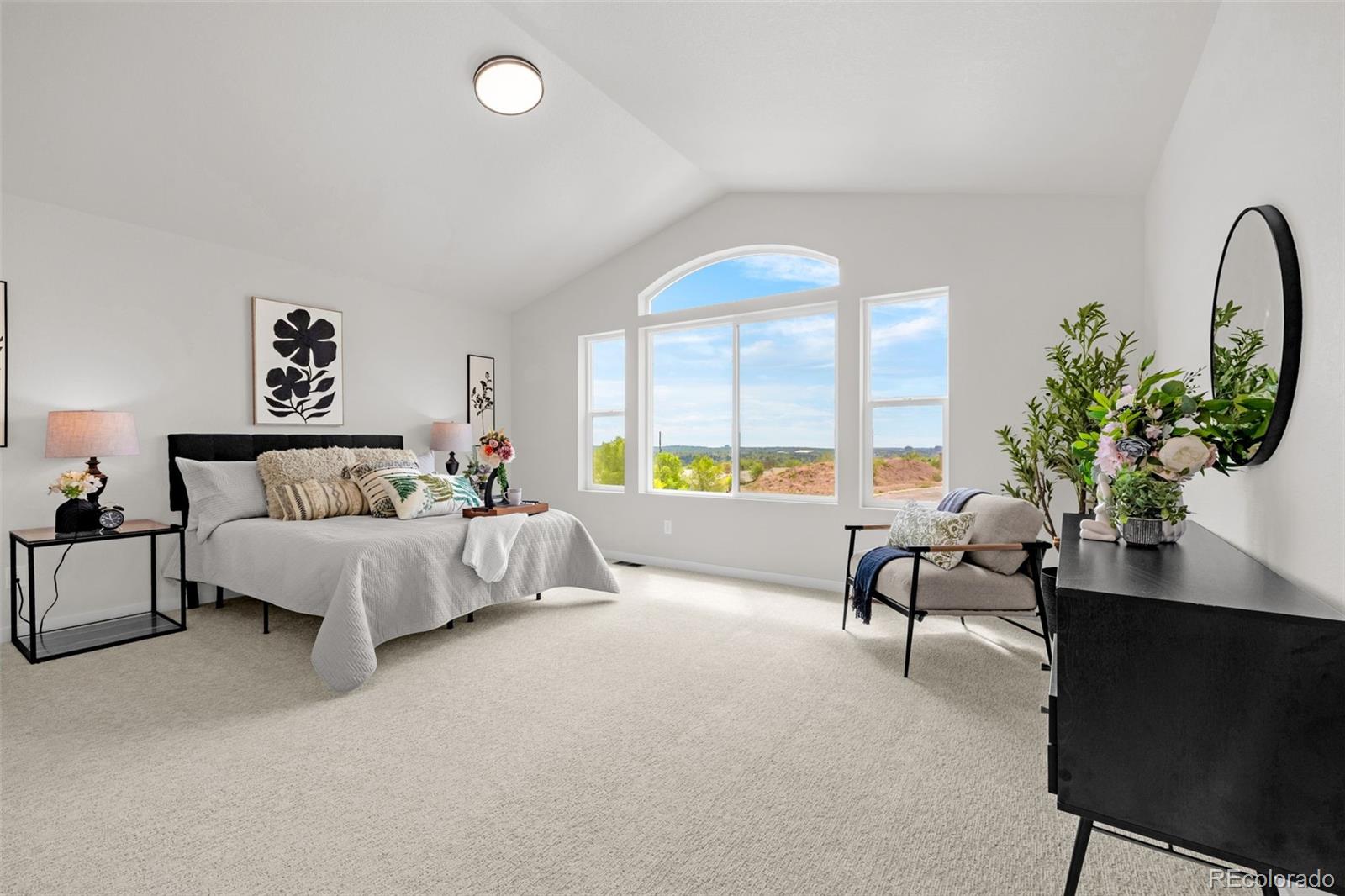 MLS Image #16 for 731  little bear ,colorado springs, Colorado