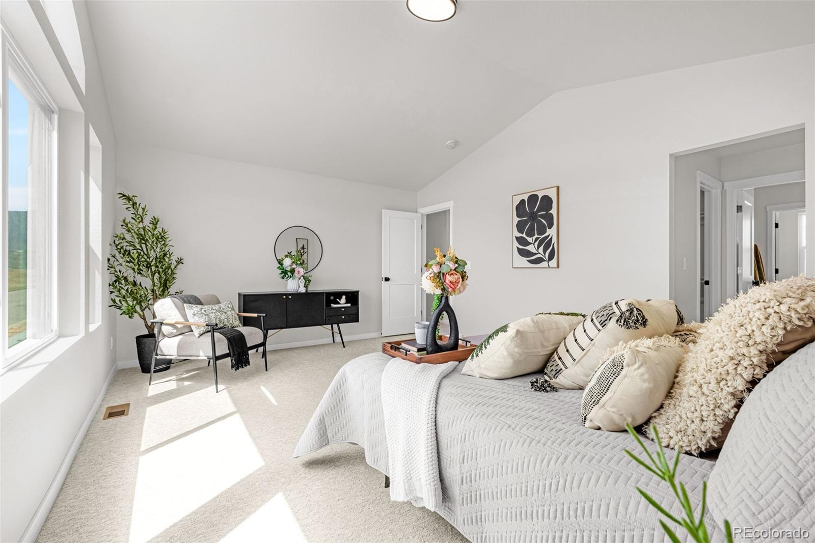 MLS Image #18 for 731  little bear ,colorado springs, Colorado