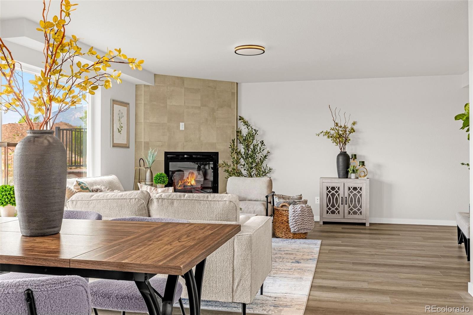 MLS Image #9 for 731  little bear ,colorado springs, Colorado