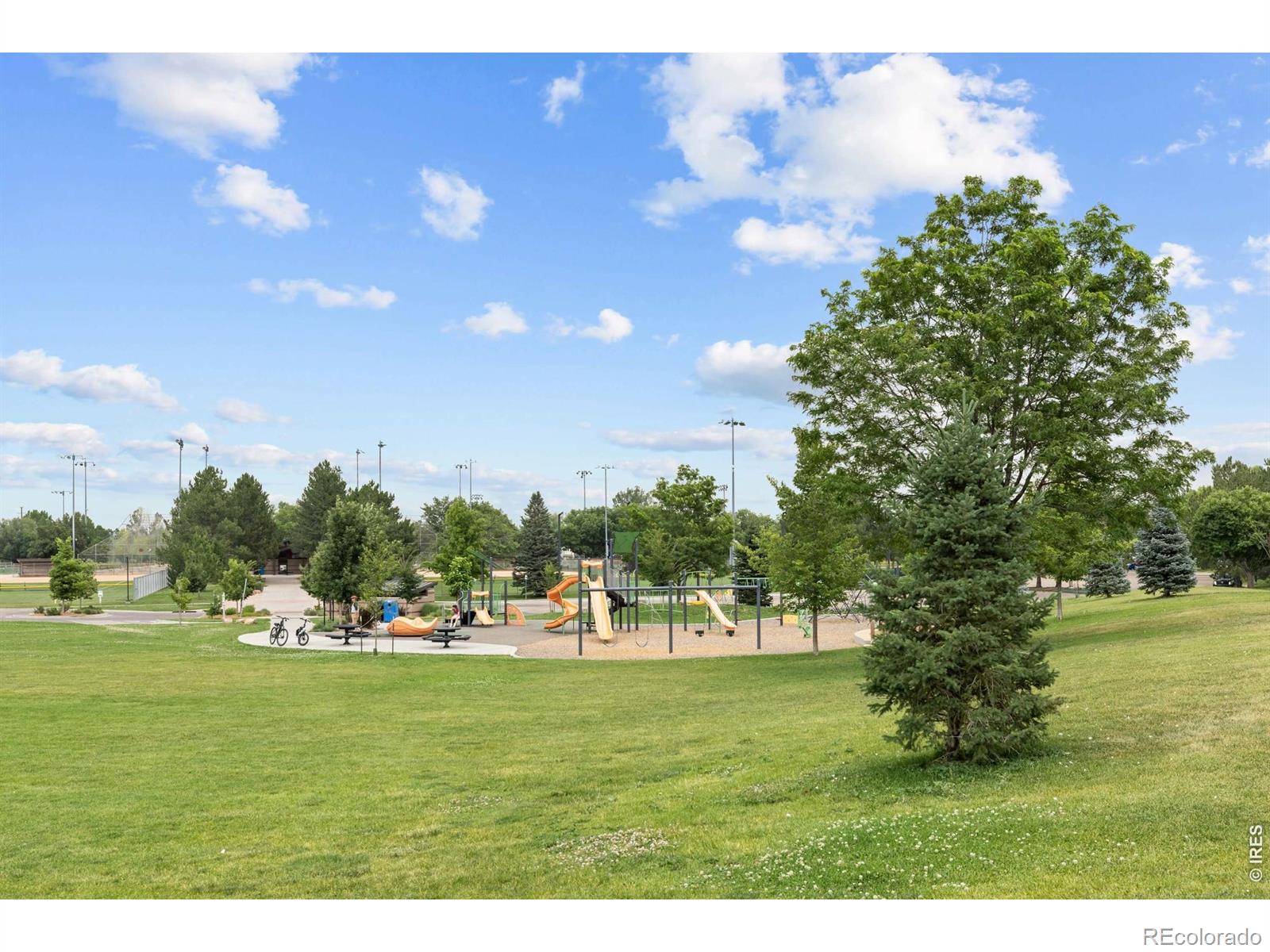 MLS Image #28 for 1732  tulip street,longmont, Colorado