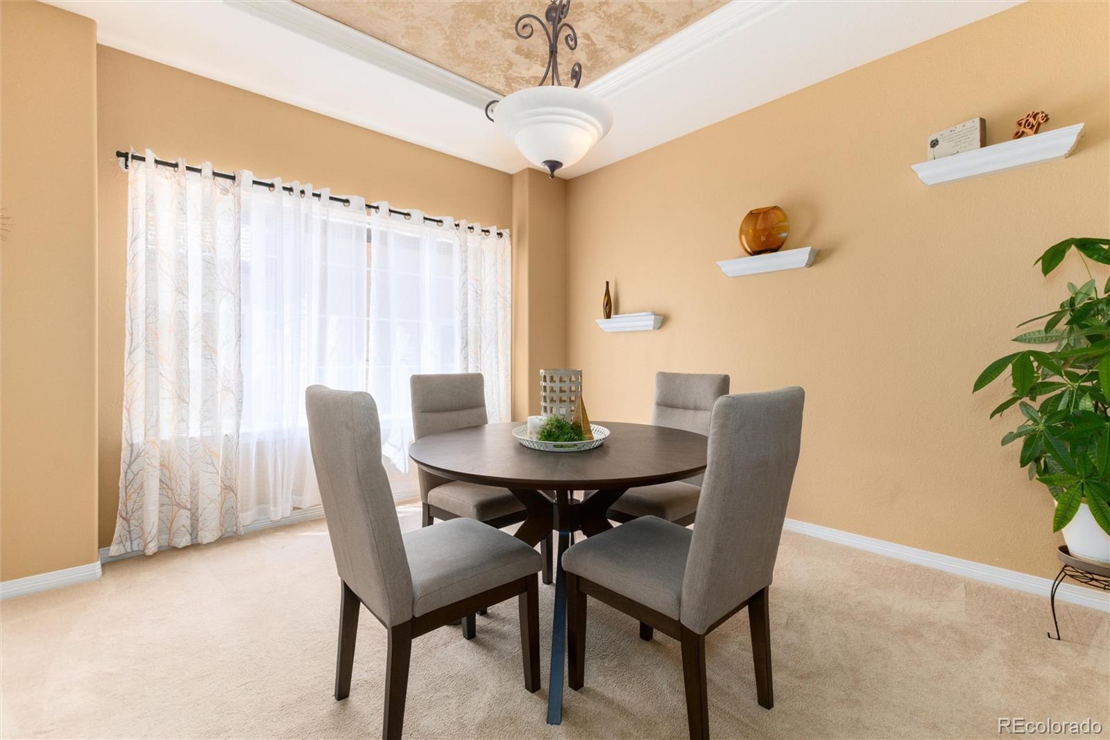 MLS Image #21 for 10548  oakmoor lane,parker, Colorado