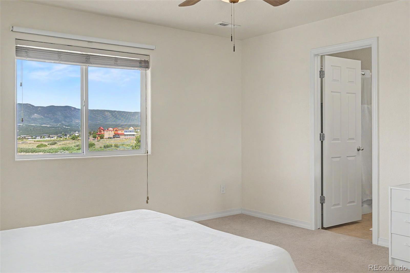 MLS Image #26 for 11675  black maple lane,colorado springs, Colorado