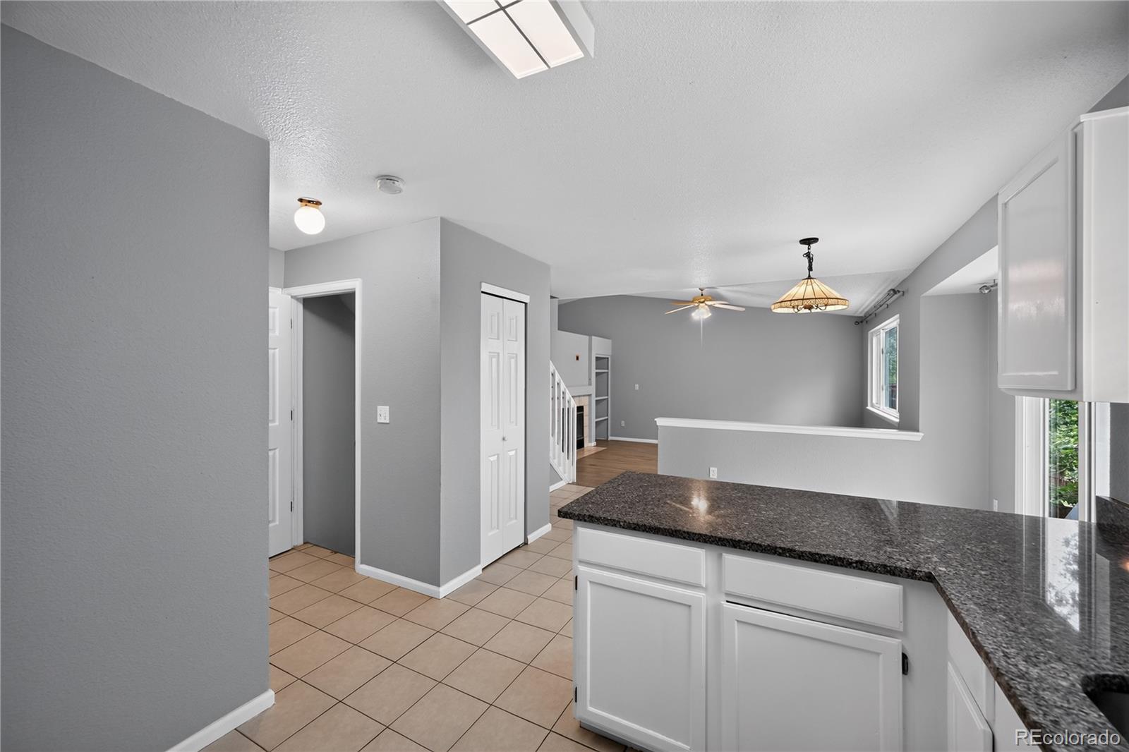 MLS Image #8 for 10452  hyacinth street,littleton, Colorado
