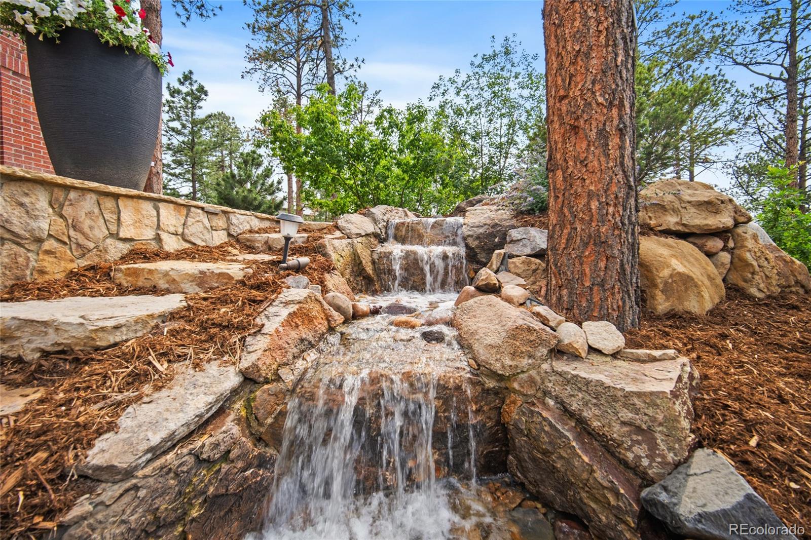 MLS Image #42 for 332  ovida place,castle rock, Colorado