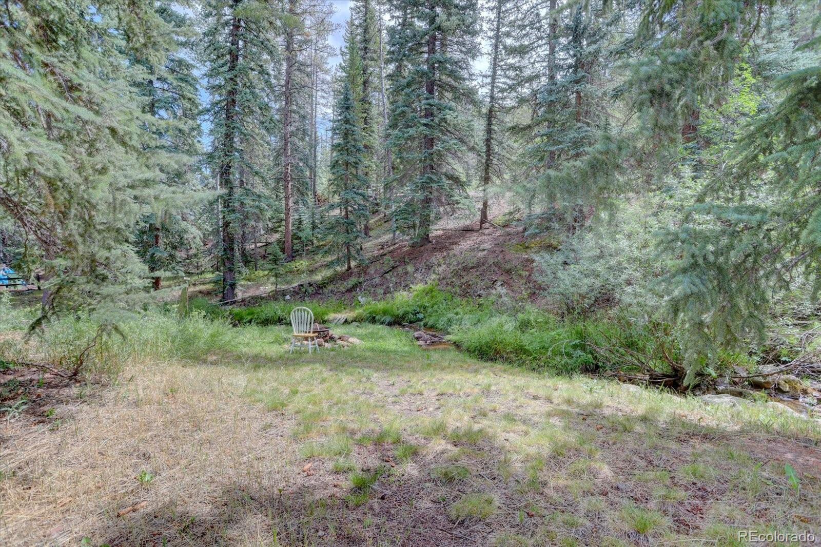 MLS Image #25 for 8226 s brook forest road,evergreen, Colorado