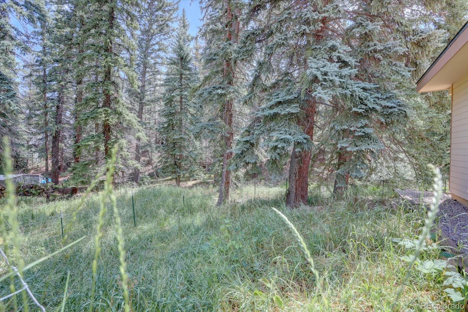 MLS Image #34 for 8226 s brook forest road,evergreen, Colorado