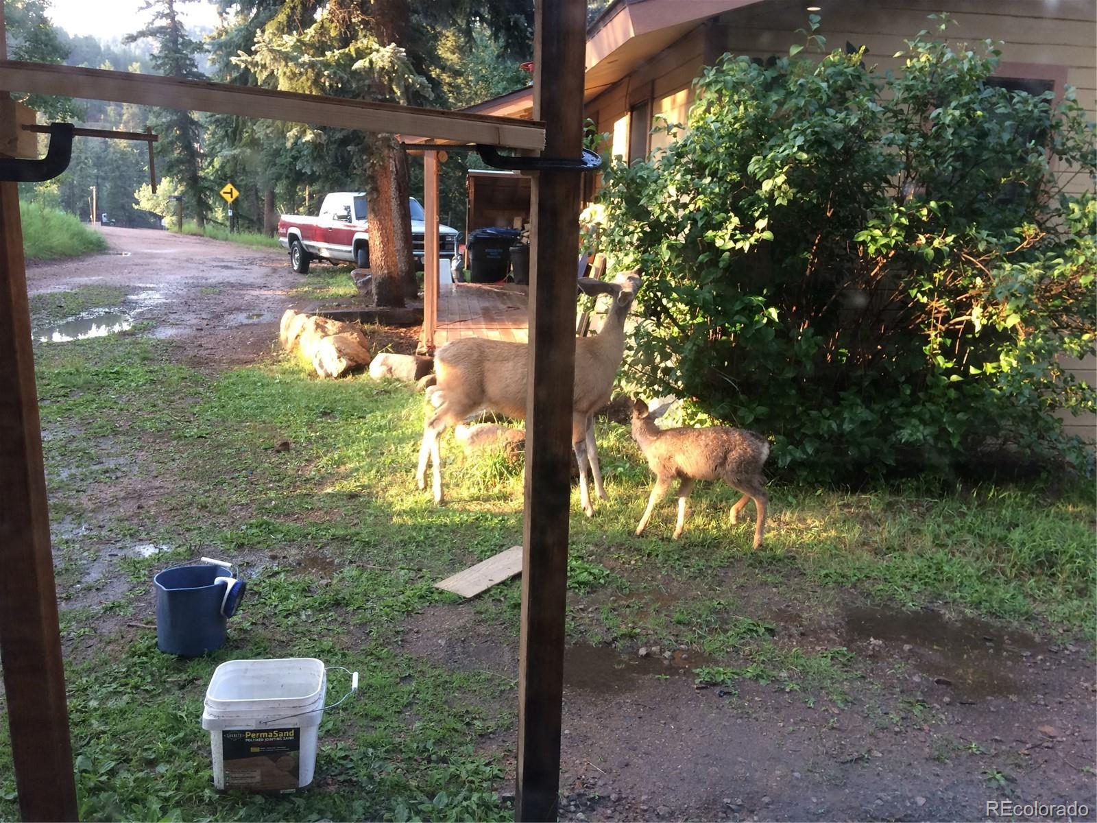 MLS Image #45 for 8226 s brook forest road,evergreen, Colorado