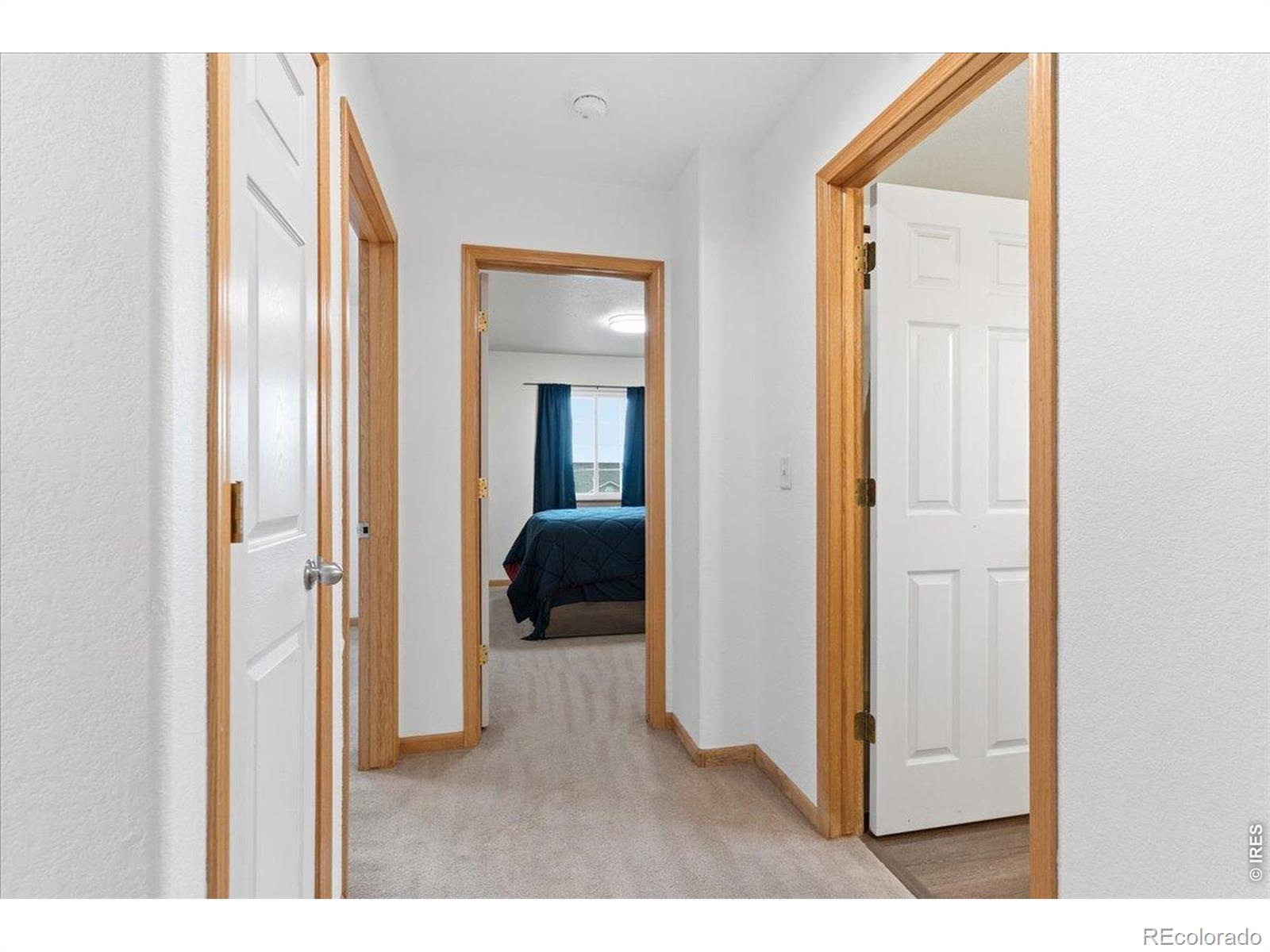 MLS Image #26 for 615  foxtail way,severance, Colorado