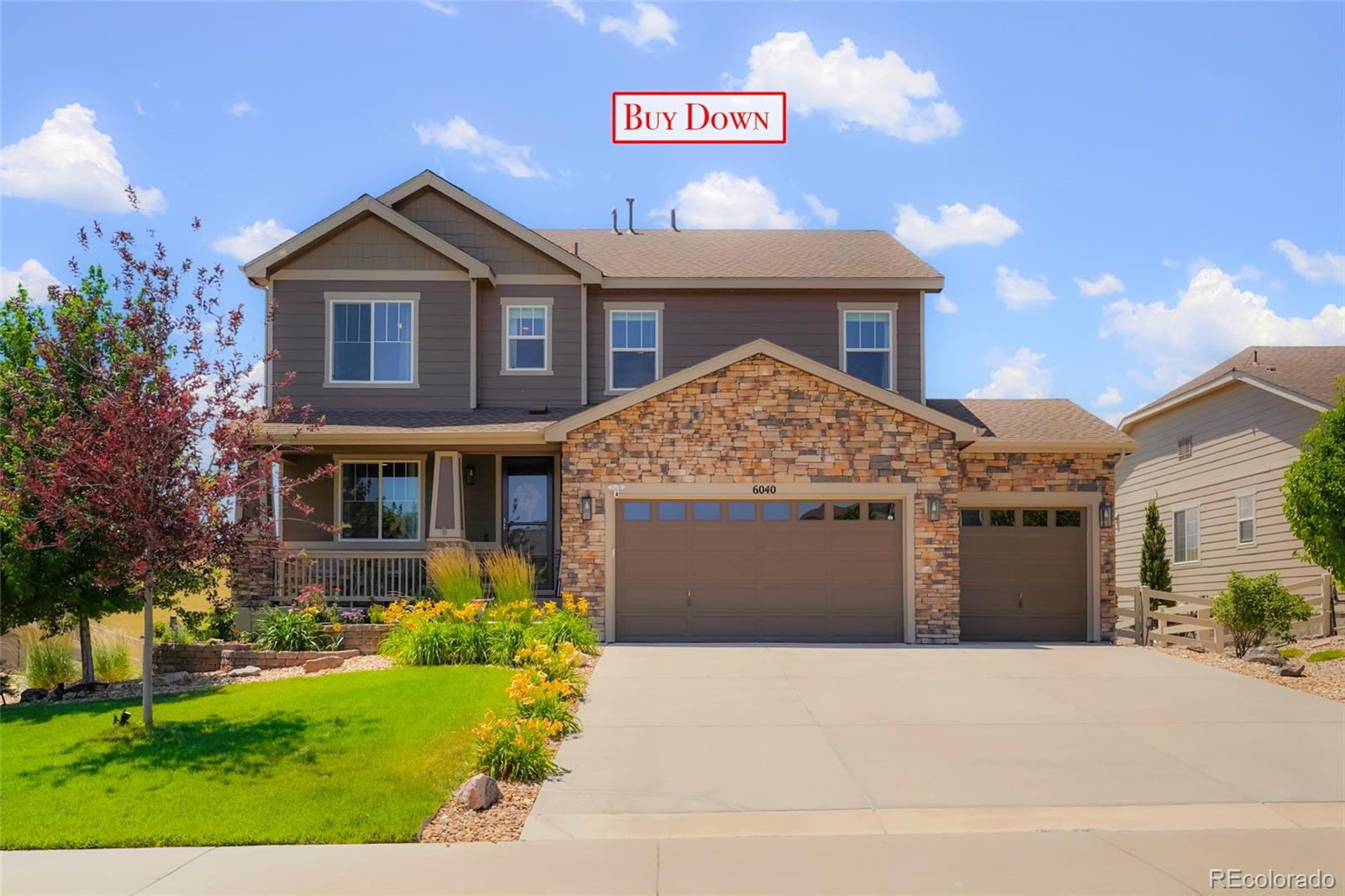 MLS Image #0 for 6040  clover ridge circle,castle rock, Colorado