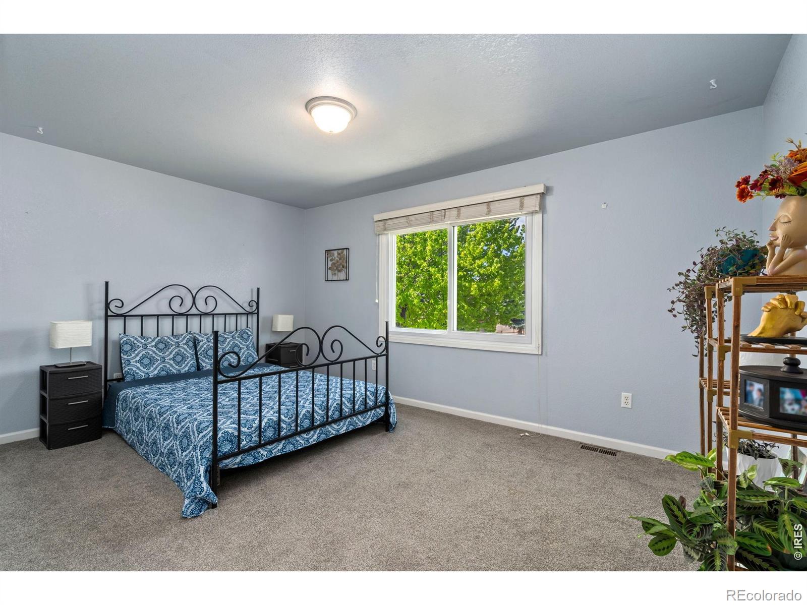 MLS Image #21 for 1901  reflection place,windsor, Colorado