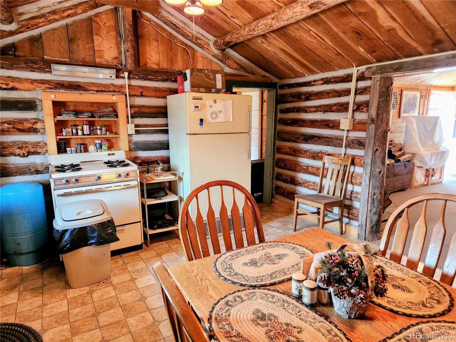 MLS Image #10 for 4650  4650 usfs 516 ##7pearl lakes ,creede, Colorado
