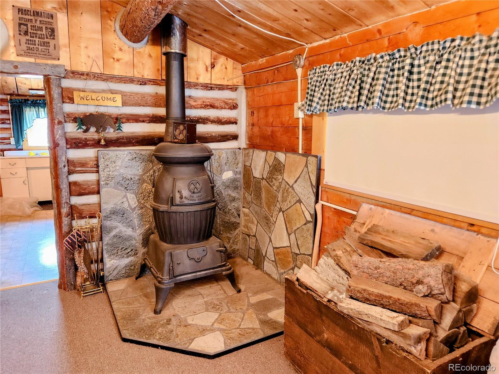 MLS Image #11 for 4650  4650 usfs 516 ##7pearl lakes ,creede, Colorado
