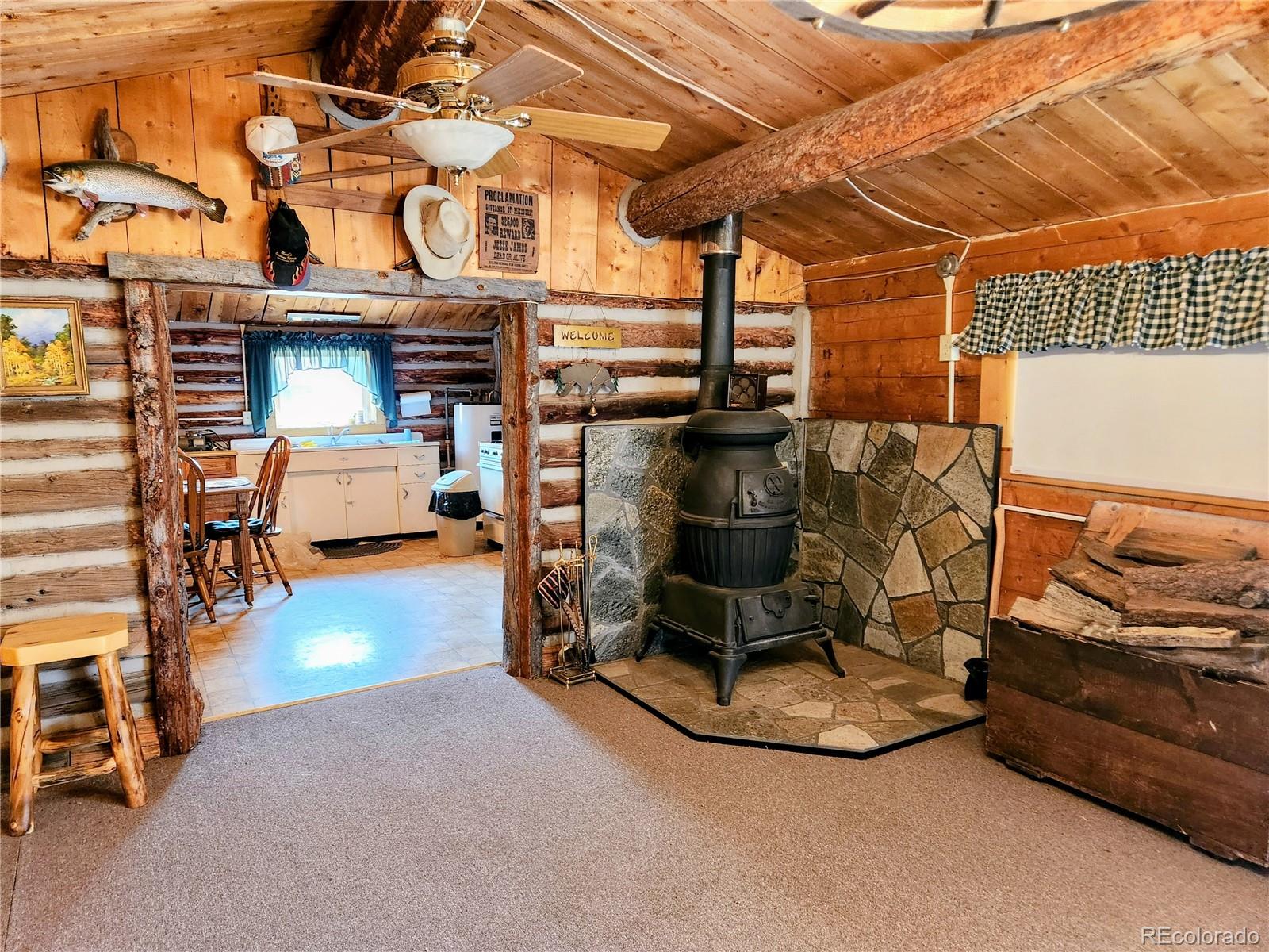 MLS Image #13 for 4650  4650 usfs 516 ##7pearl lakes ,creede, Colorado