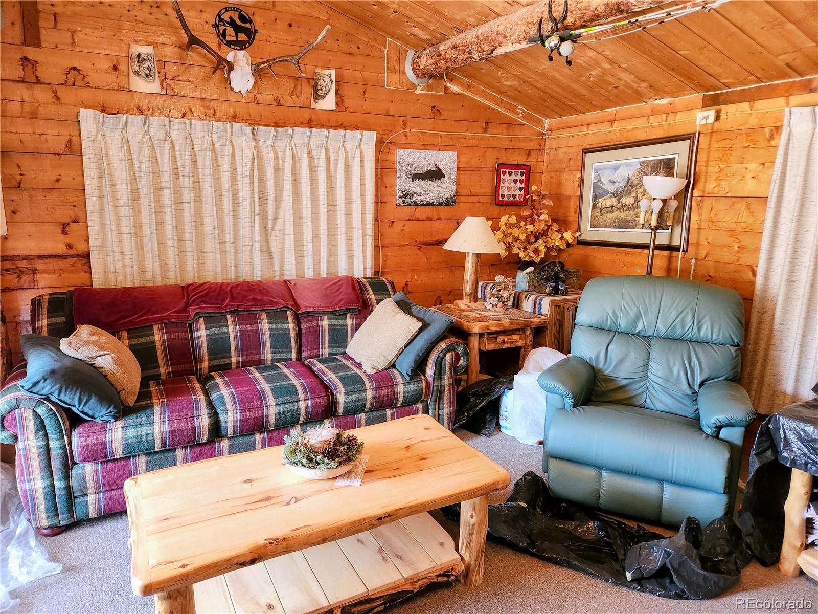 MLS Image #14 for 4650  4650 usfs 516 ##7pearl lakes ,creede, Colorado