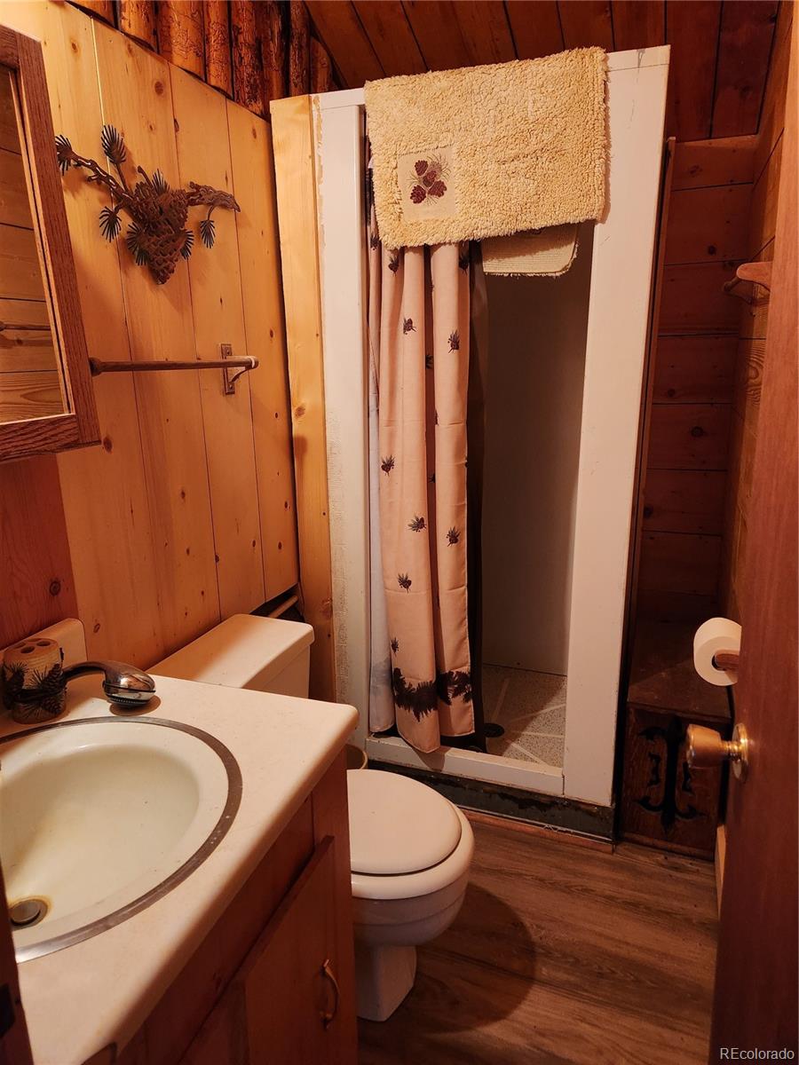 MLS Image #7 for 4650  4650 usfs 516 ##7pearl lakes ,creede, Colorado