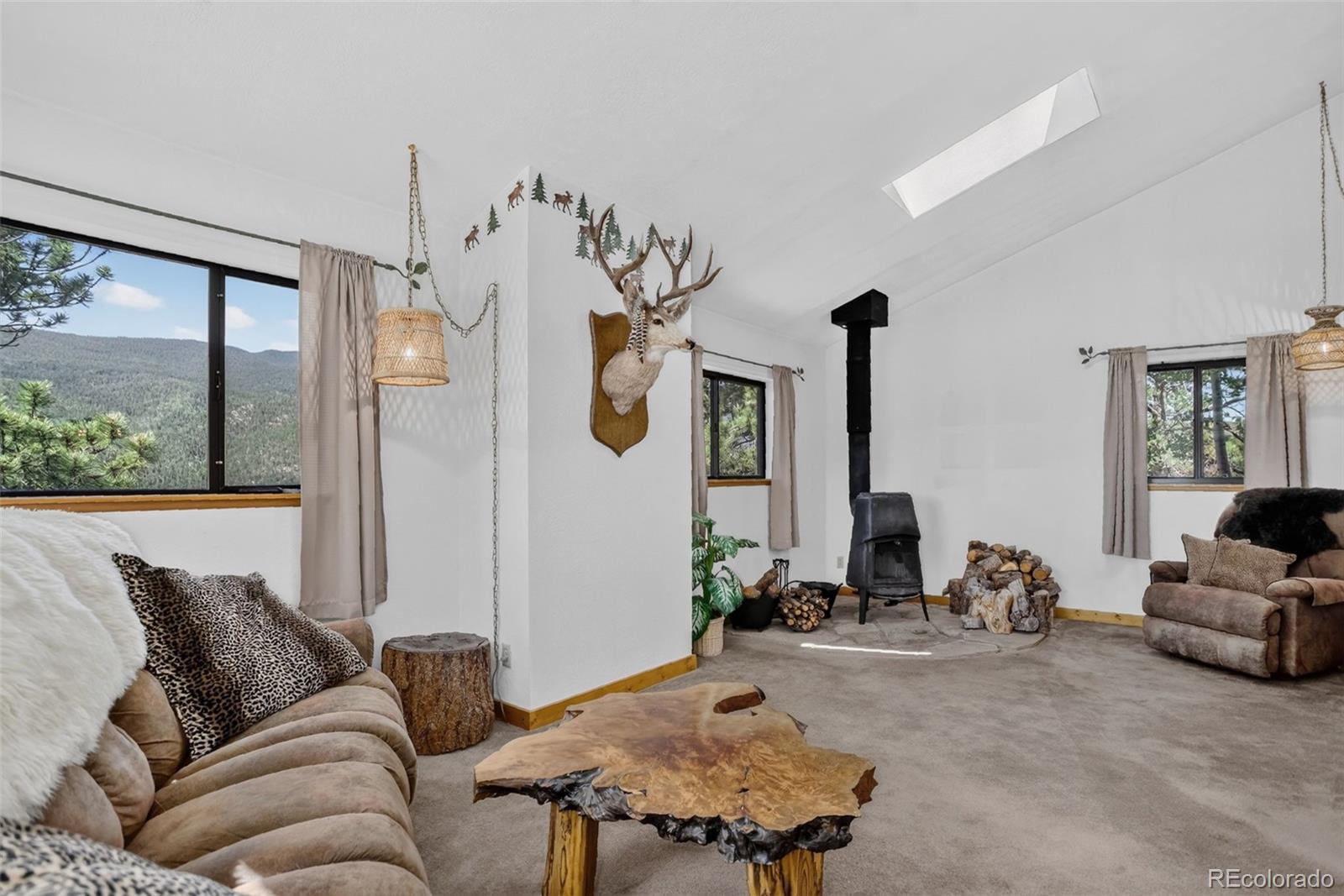 MLS Image #14 for 211  calle de lujan ,shawnee, Colorado