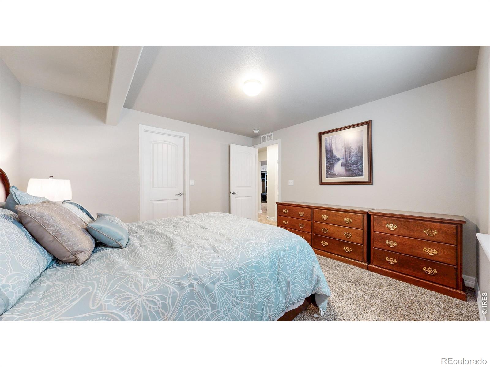 MLS Image #28 for 5439  vona drive,loveland, Colorado
