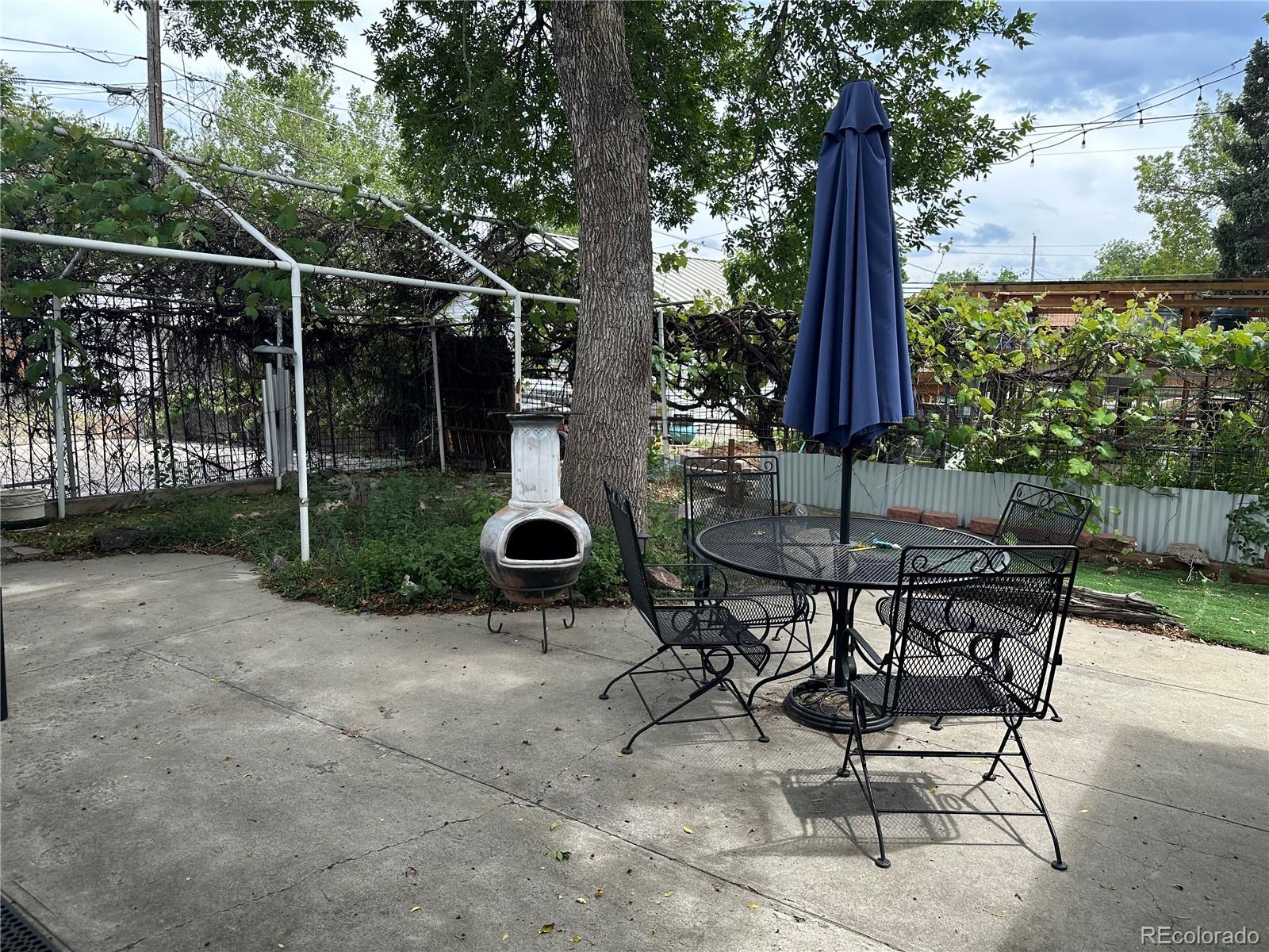 MLS Image #13 for 510  raleigh street,denver, Colorado