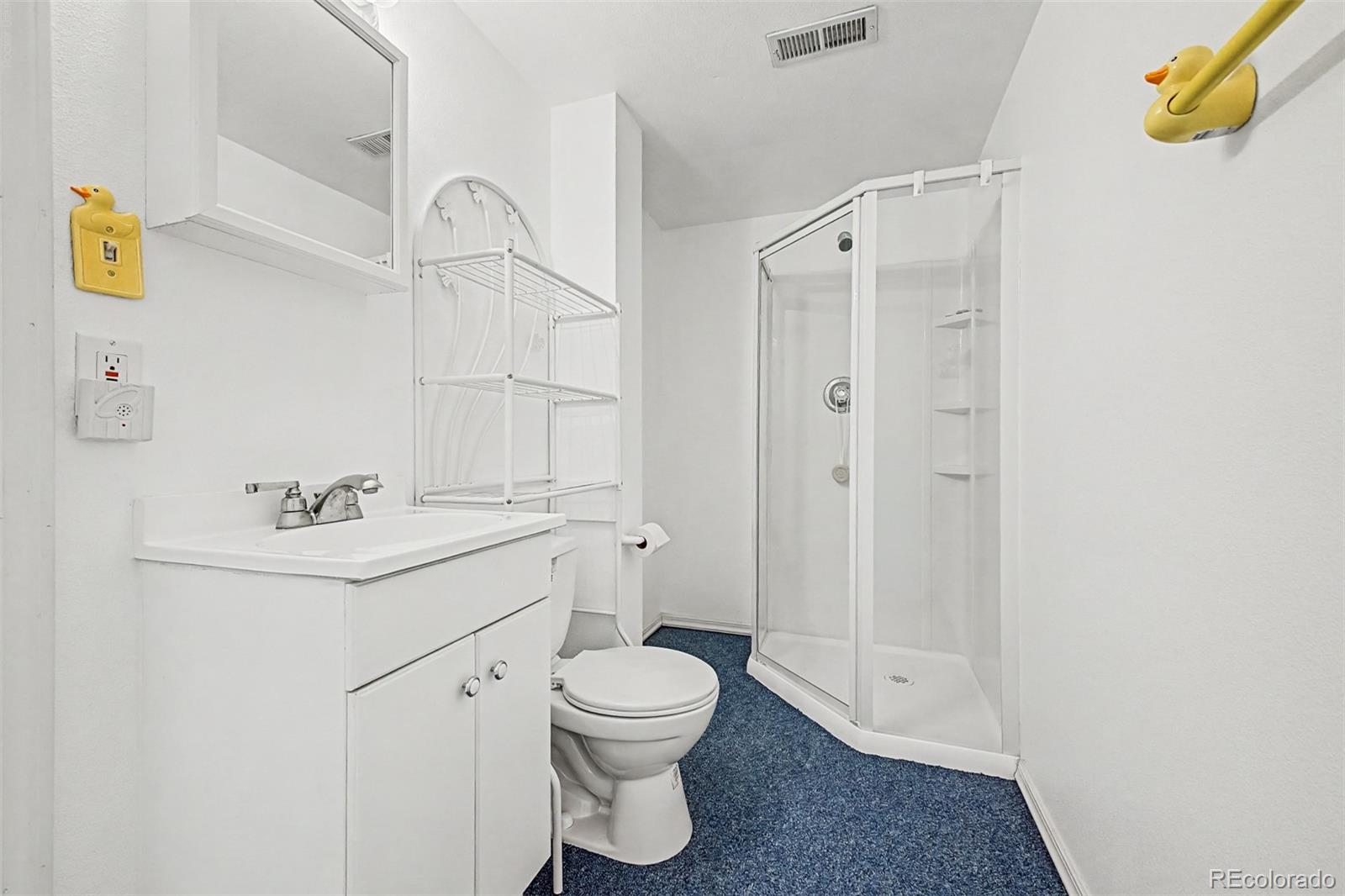 MLS Image #42 for 4204 e 114th way,thornton, Colorado