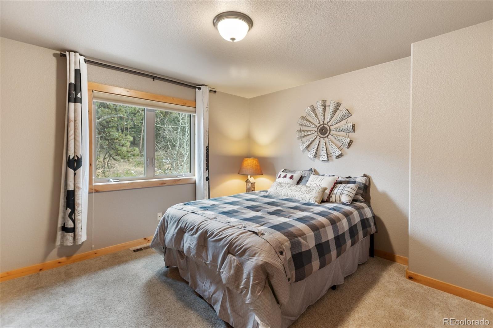 MLS Image #17 for 133  elk grove lane ,woodland park, Colorado