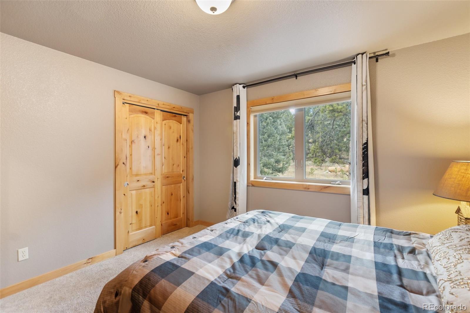 MLS Image #18 for 133  elk grove lane ,woodland park, Colorado