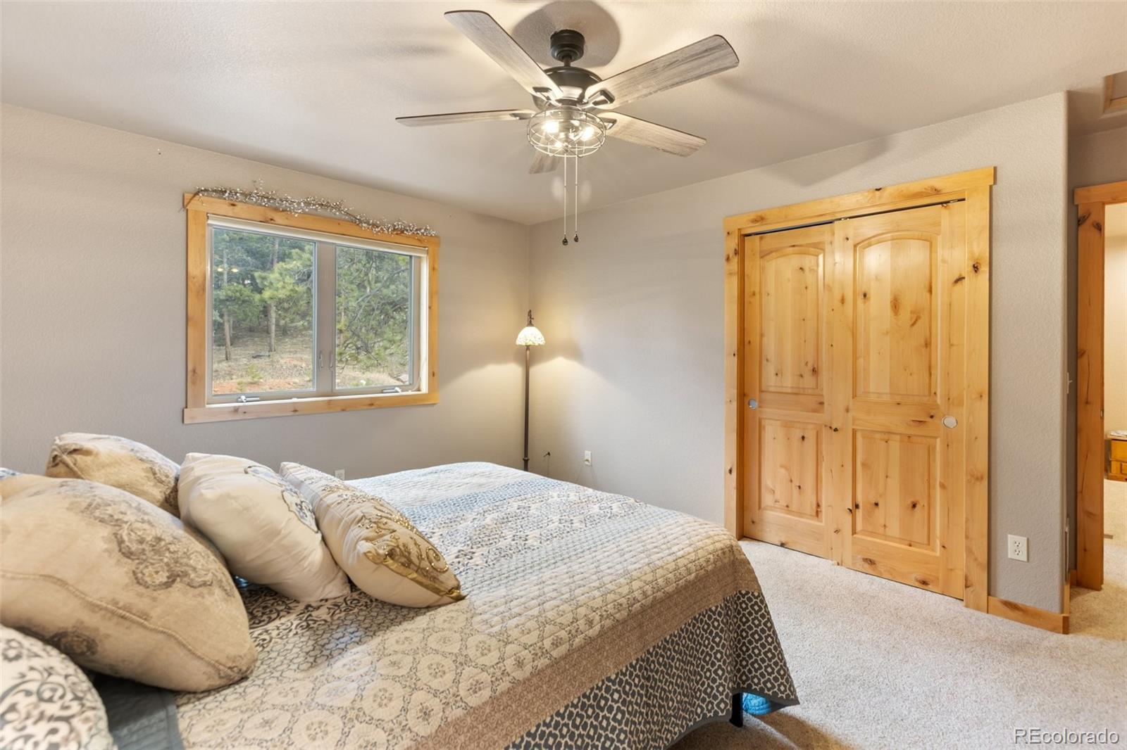 MLS Image #21 for 133  elk grove lane ,woodland park, Colorado