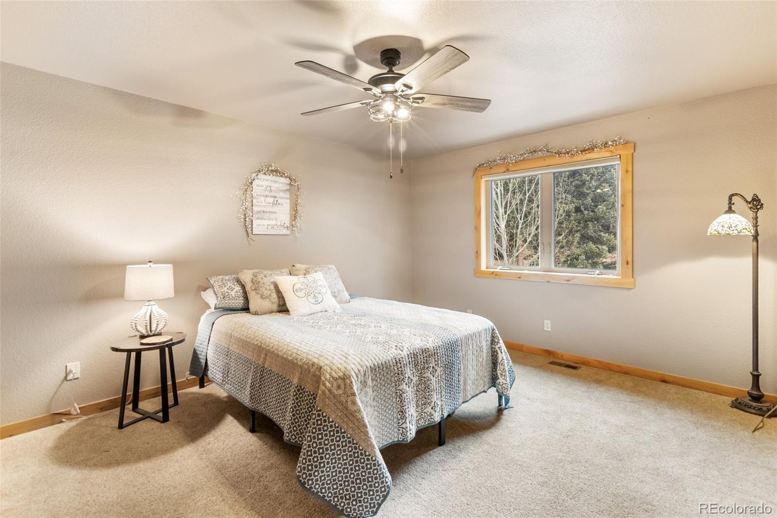 MLS Image #22 for 133  elk grove lane ,woodland park, Colorado