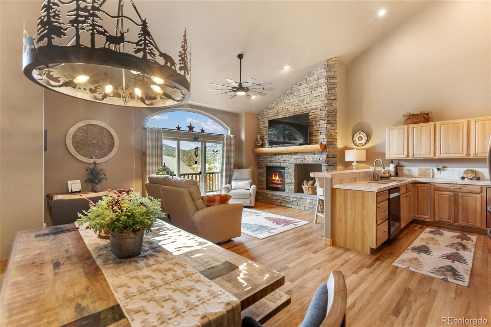 MLS Image #3 for 133  elk grove lane ,woodland park, Colorado