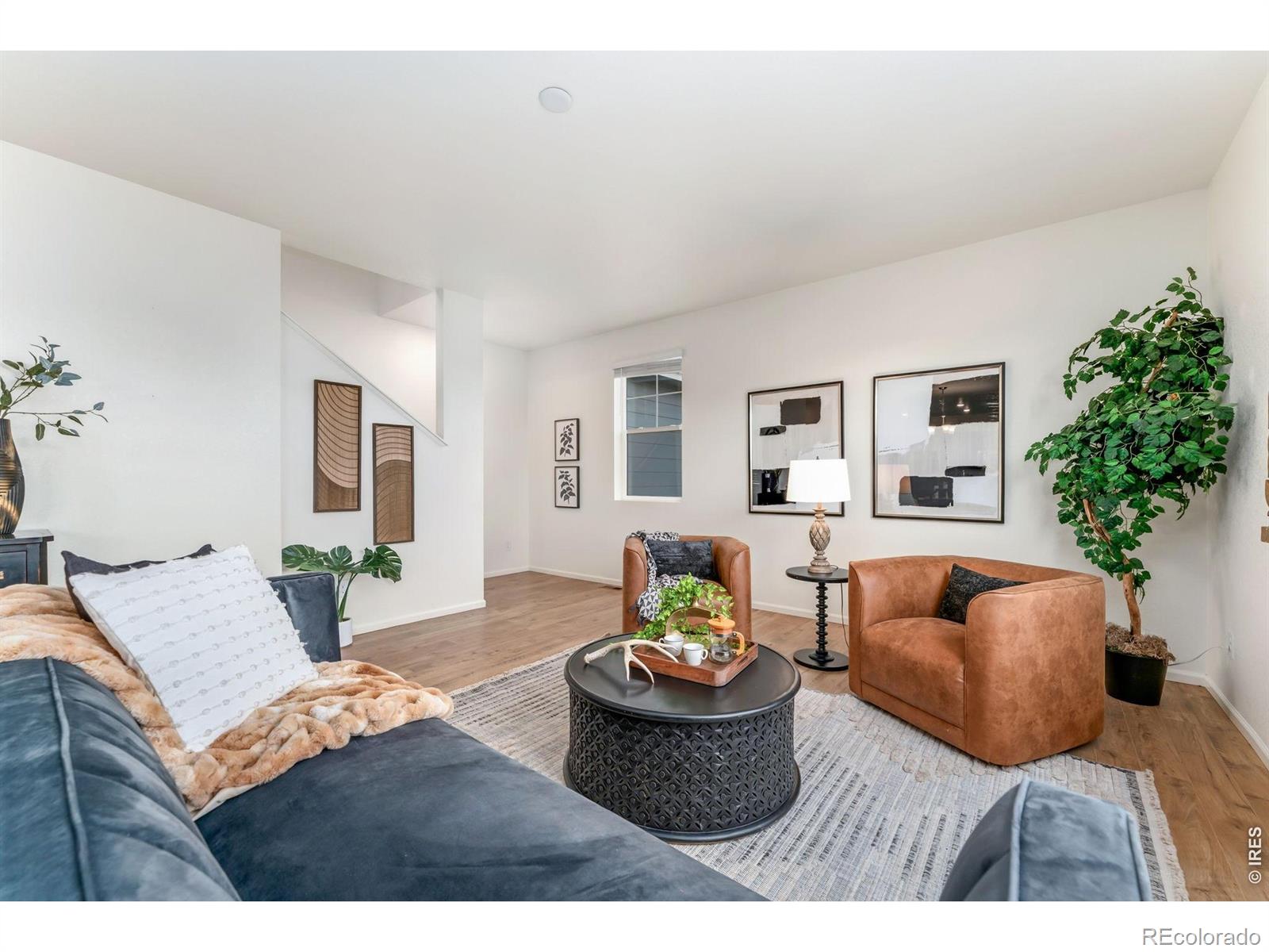MLS Image #6 for 6818  gateway crossing street,wellington, Colorado