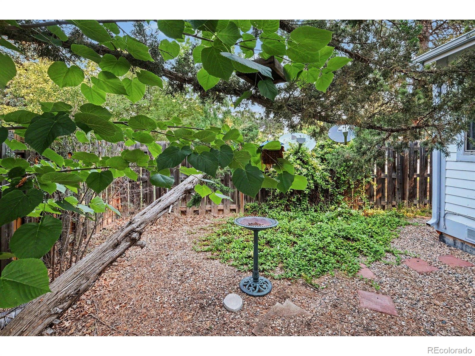 MLS Image #10 for 814  arbor avenue,fort collins, Colorado