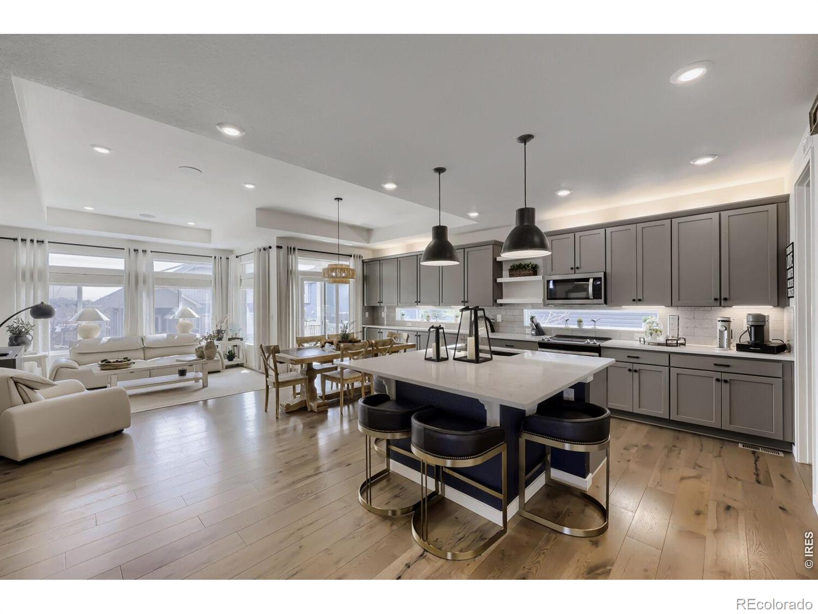MLS Image #2 for 17558 e 103rd drive,commerce city, Colorado