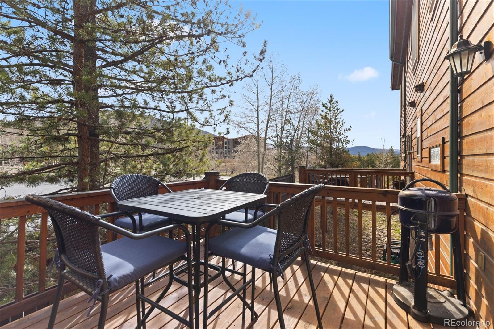 MLS Image #16 for 6  crown court,dillon, Colorado