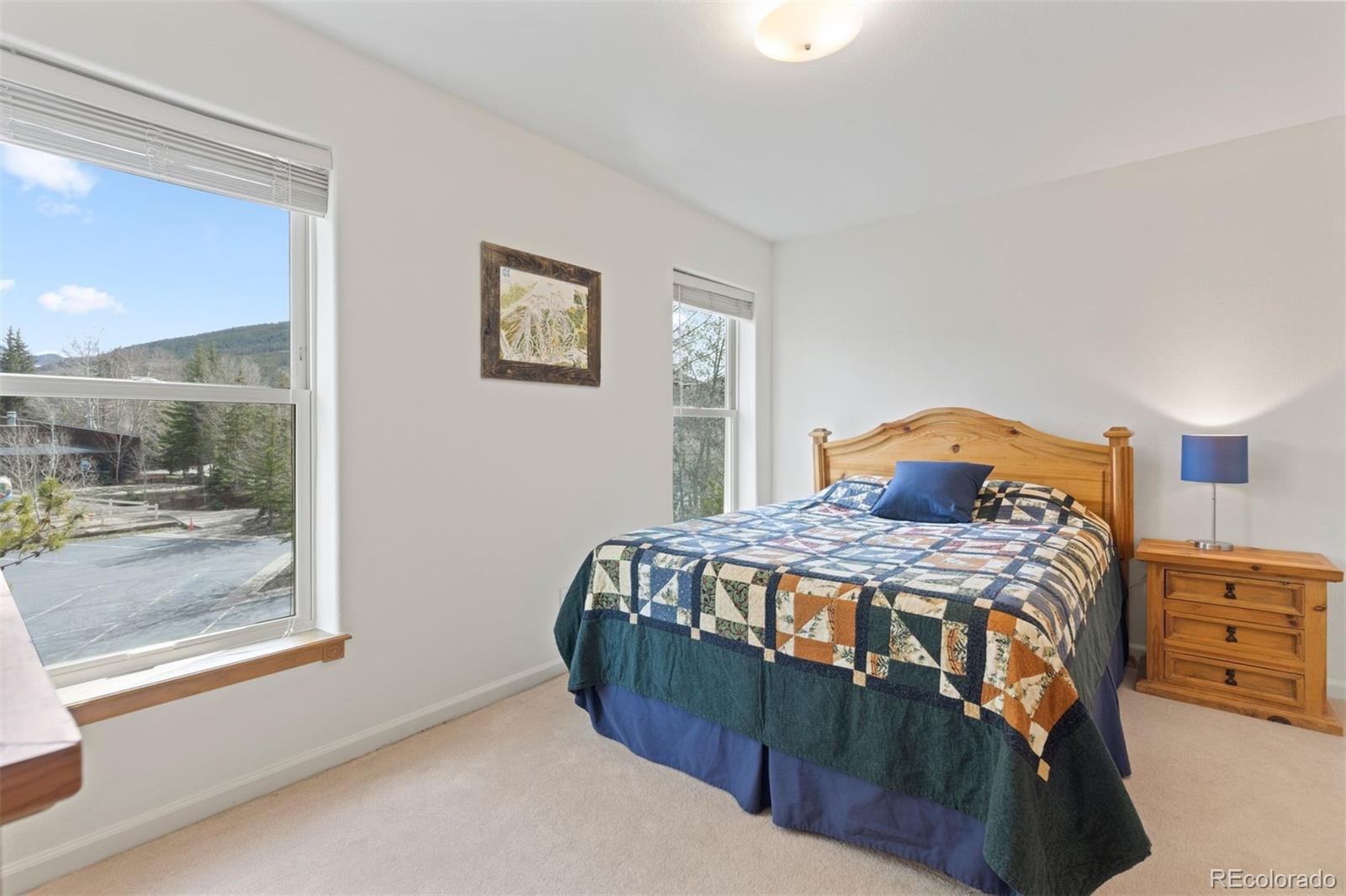 MLS Image #25 for 6  crown court,dillon, Colorado