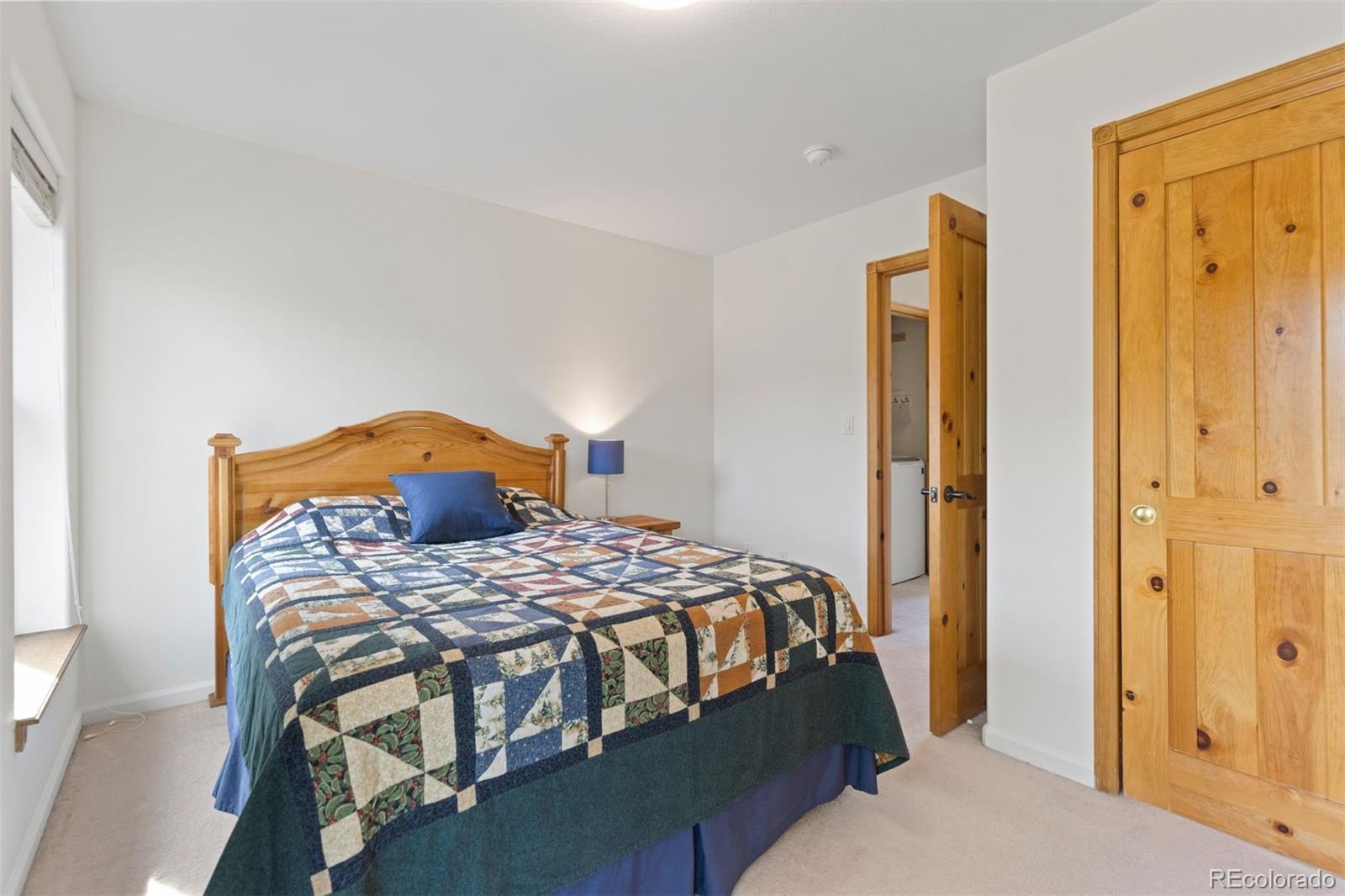 MLS Image #26 for 6  crown court,dillon, Colorado