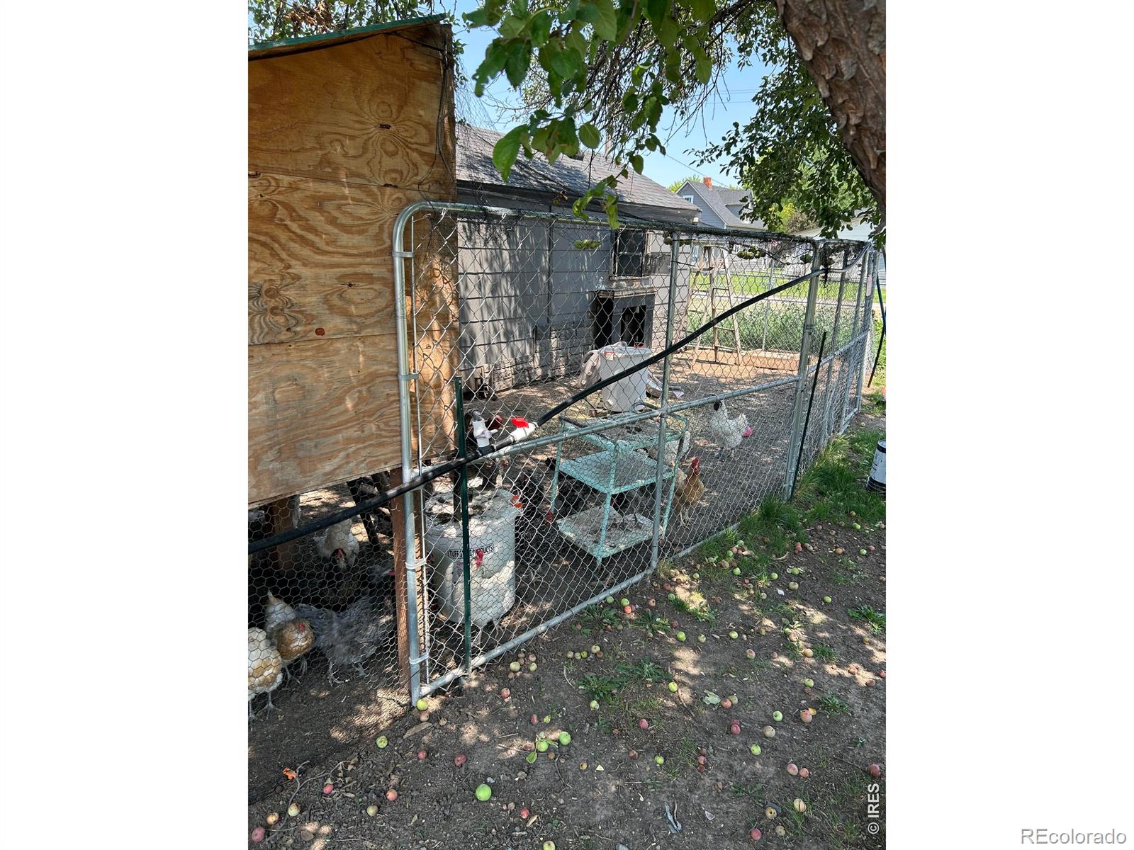MLS Image #33 for 219 s phelan avenue,holyoke, Colorado