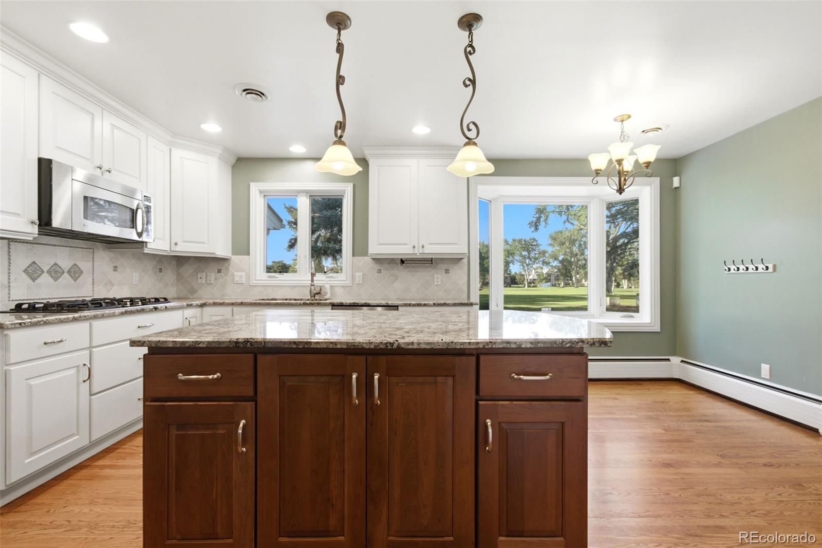 MLS Image #8 for 19  niblick lane,littleton, Colorado