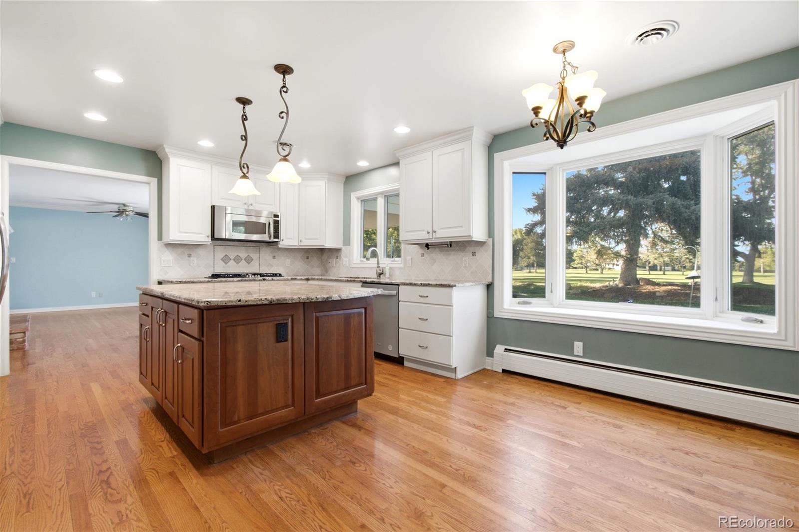 MLS Image #9 for 19  niblick lane,littleton, Colorado