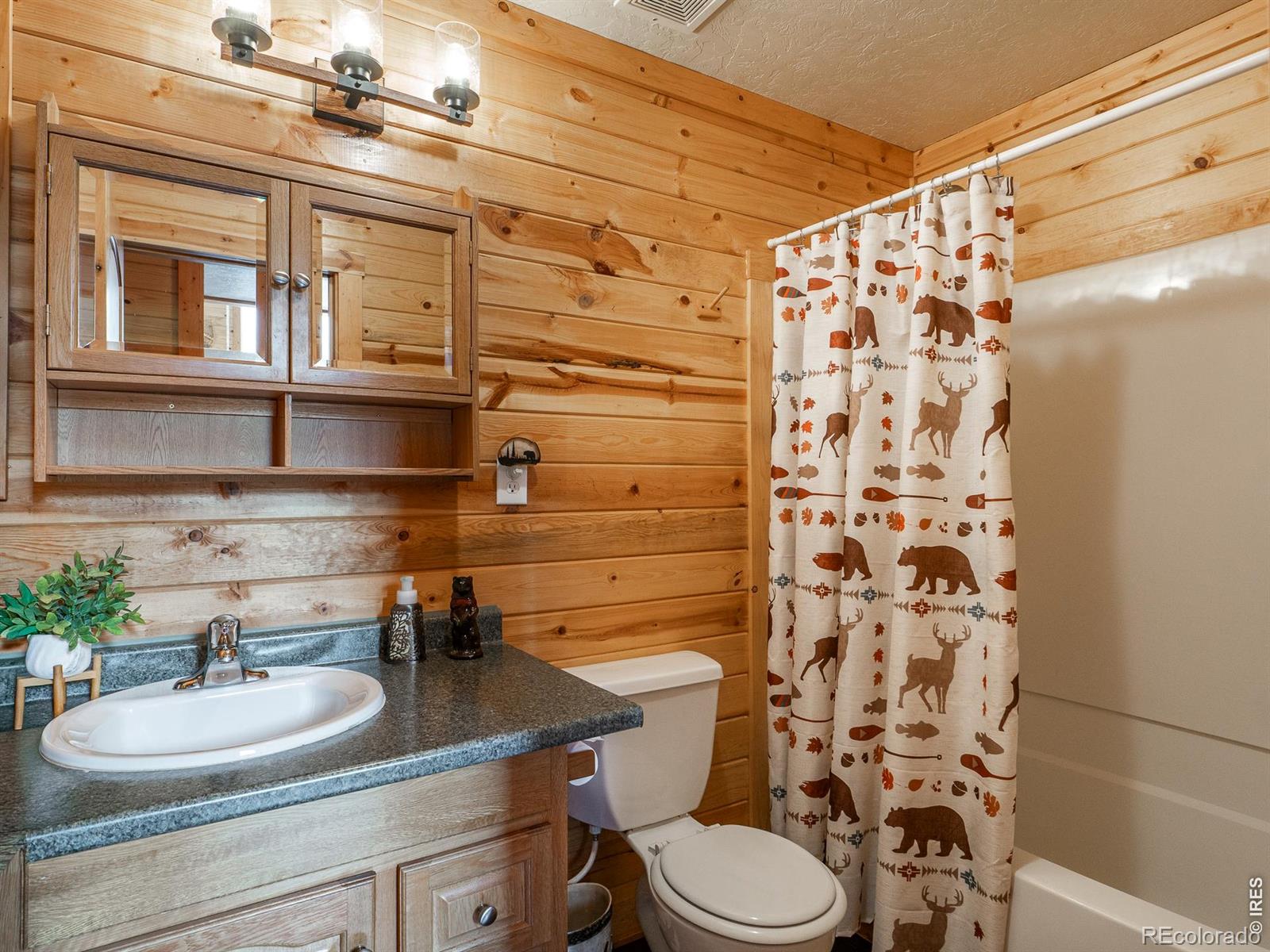 MLS Image #17 for 62  algonkin court,red feather lakes, Colorado