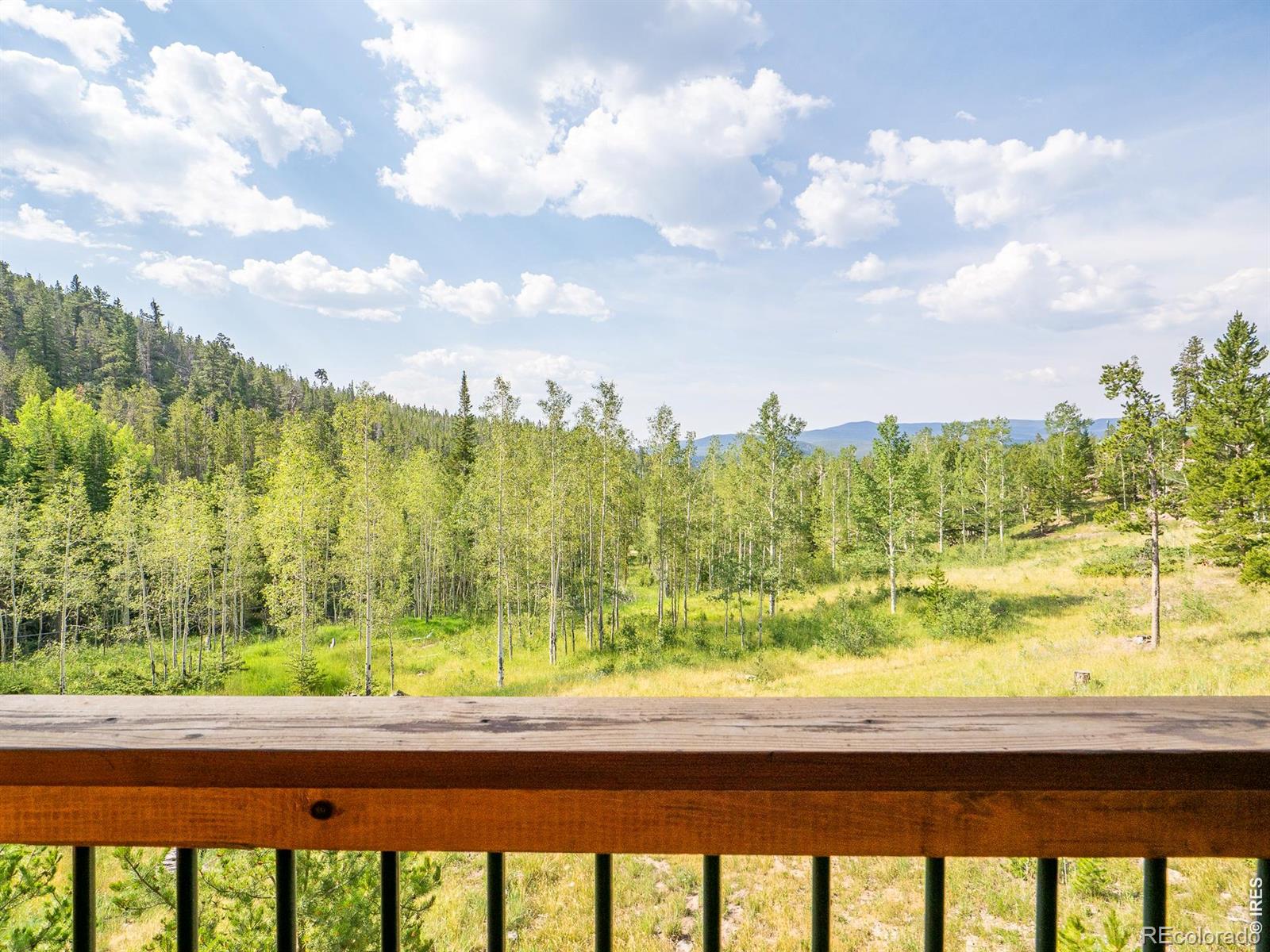 MLS Image #38 for 62  algonkin court,red feather lakes, Colorado