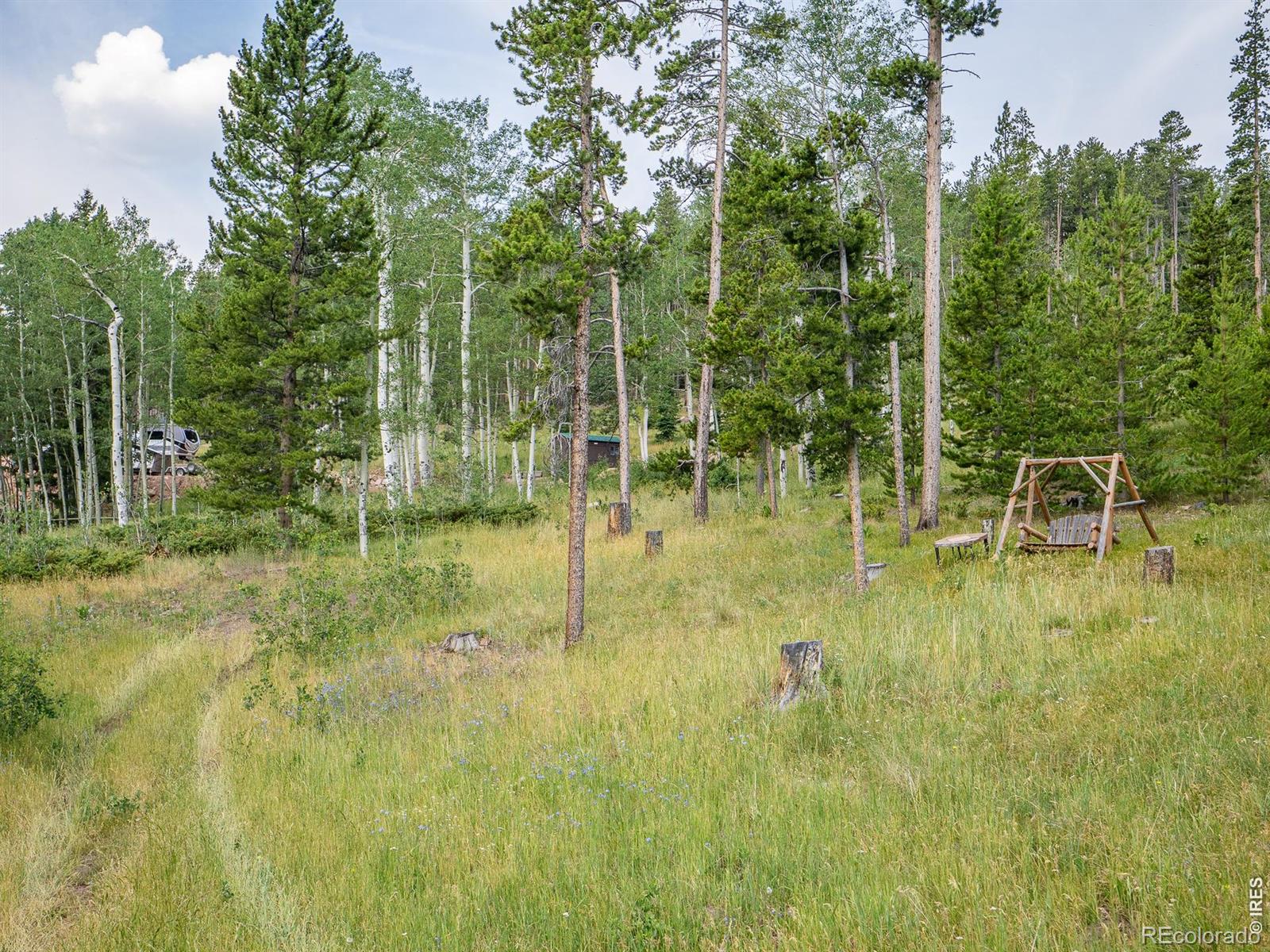 MLS Image #47 for 62  algonkin court,red feather lakes, Colorado